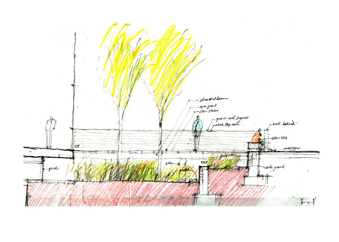 MVLA designed this stepped bioretention garden below a pedestrian bridge for a lobby entrance at @cityridgedc.  An elevated garden passage between streetscape and building, rendered in pencil on trace. ​​​​​​​​
.​​​​​​​​
#MVLA #LandscapeArchitecture 