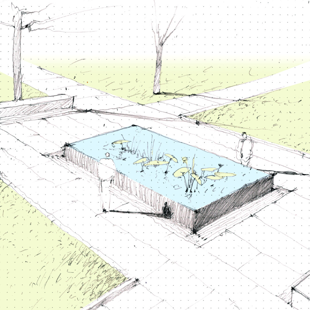 The Aquatic Pool will be the largest of three new fountains designed as part of the new Gateway to the Garden at the Missouri Botanical Garden.  This new feature is currently under construction at the intersection between the new lobby axis and the S