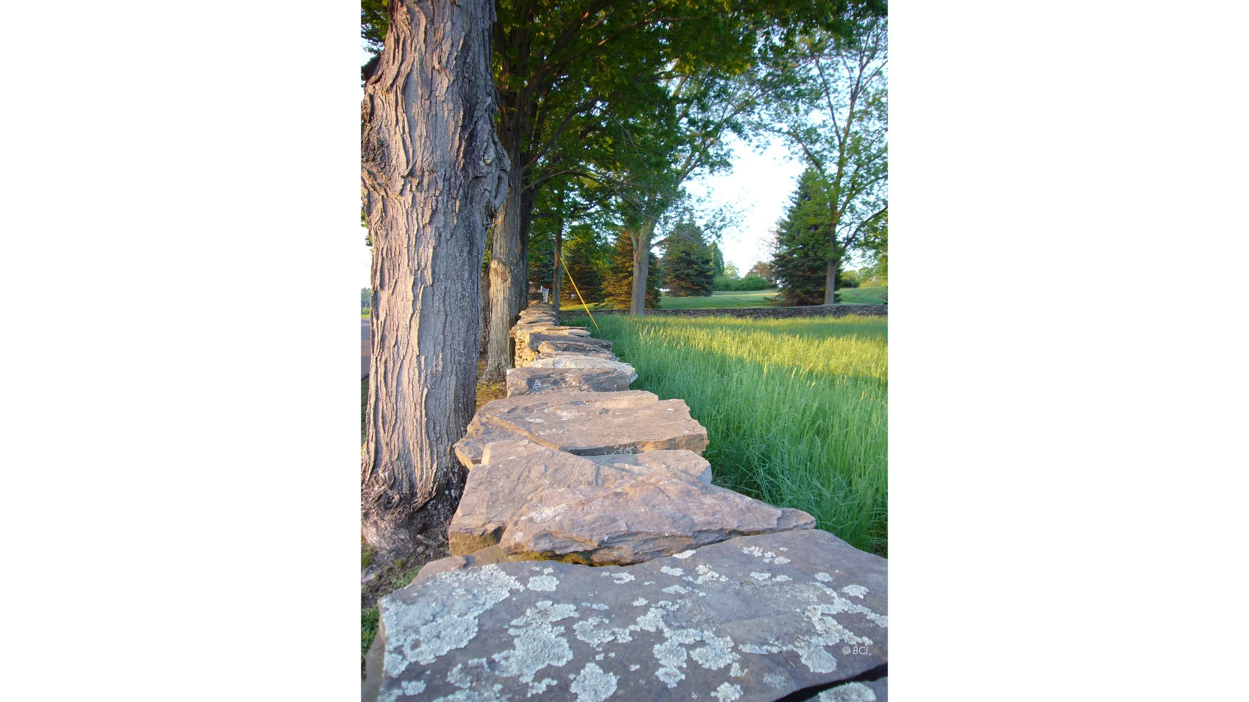 Website_GALLERY12.jpg