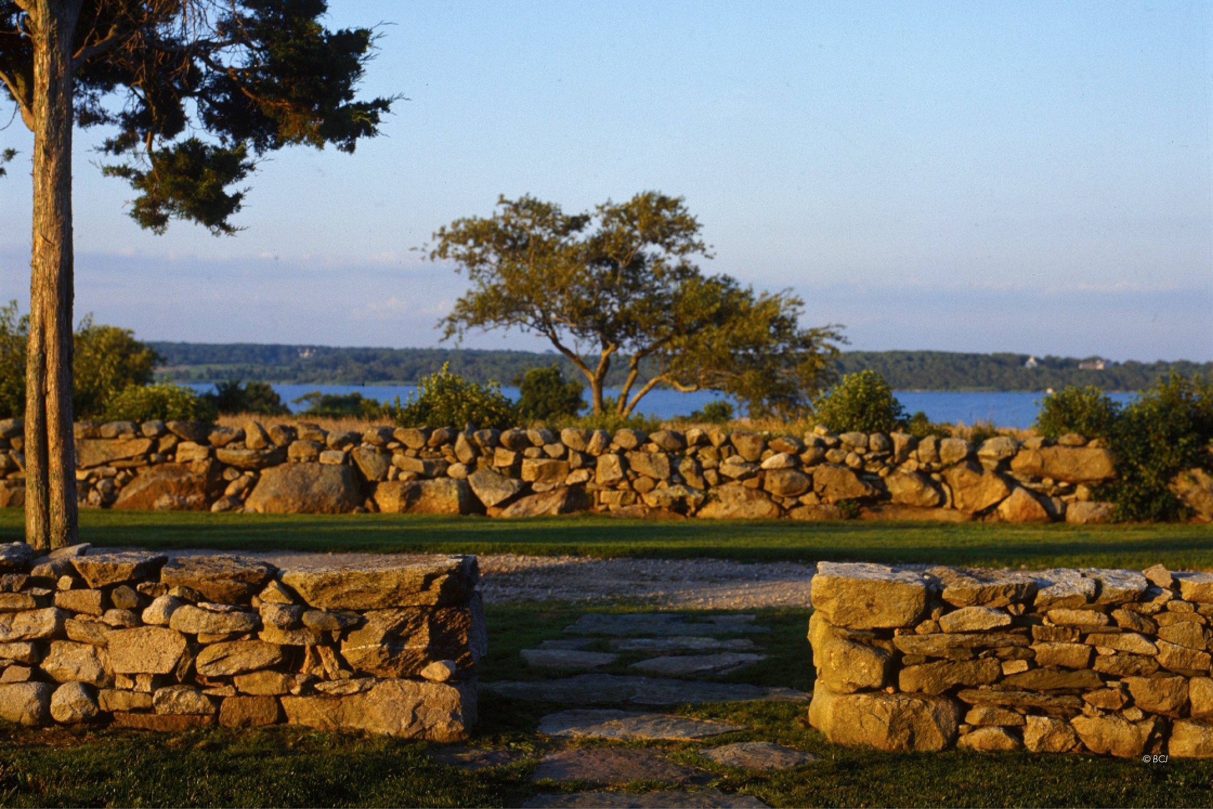 Website_GALLERY11.jpg