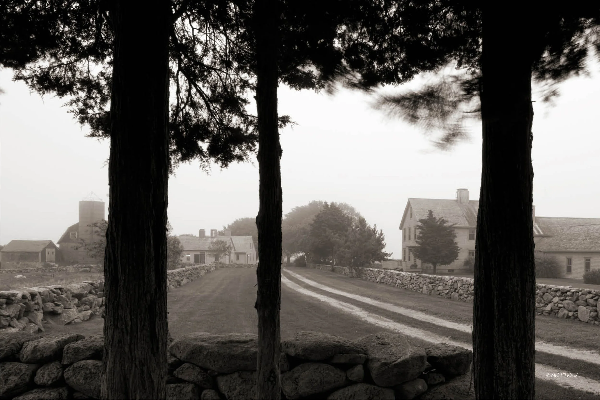 Website_GALLERY12.jpg