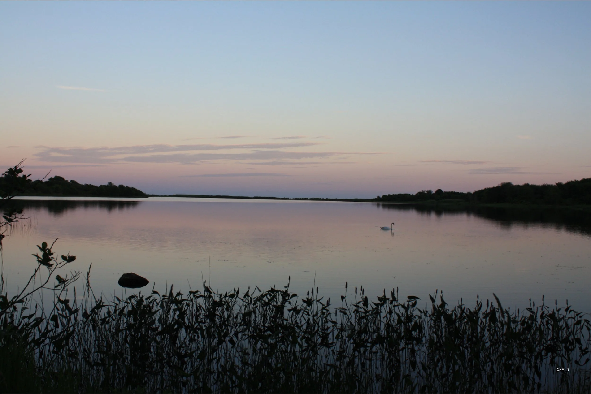 Website_GALLERY14.jpg