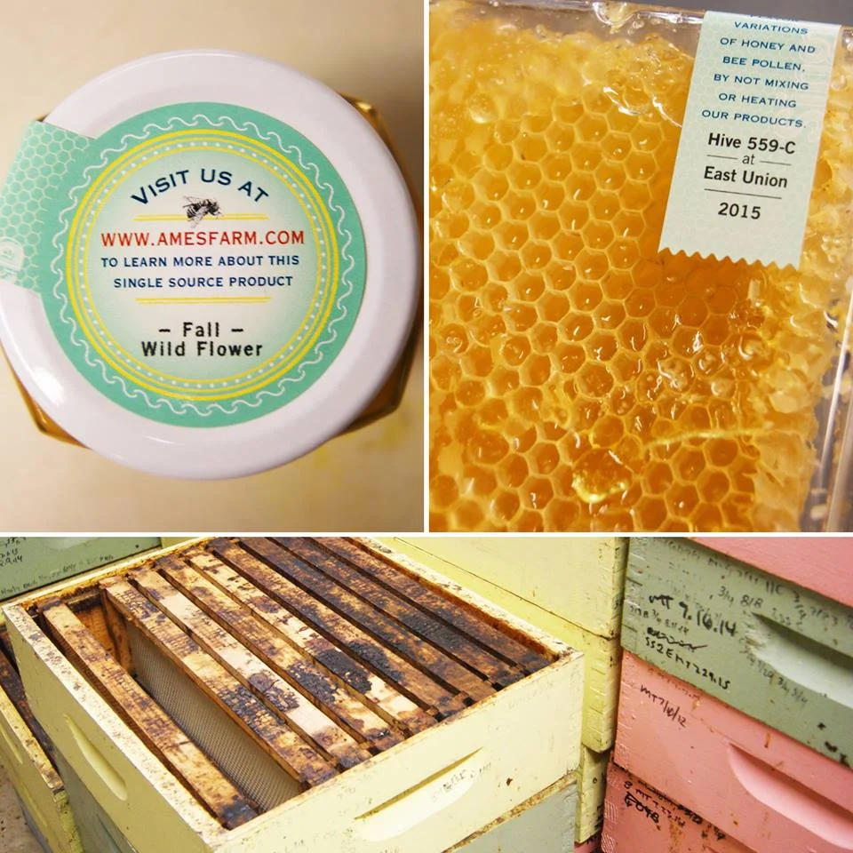 Bob’s Family Stories: Ames Farm Honey 