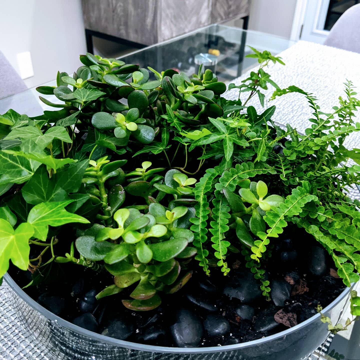 I love plants.  LOVE.  They make me happy. And on a day like Blue Monday we all deserve to be happy 

This weekend I made this bright centerpiece for my kitchen table.  It's a great way to bring some outdoor inside.

I thought I would share some grea