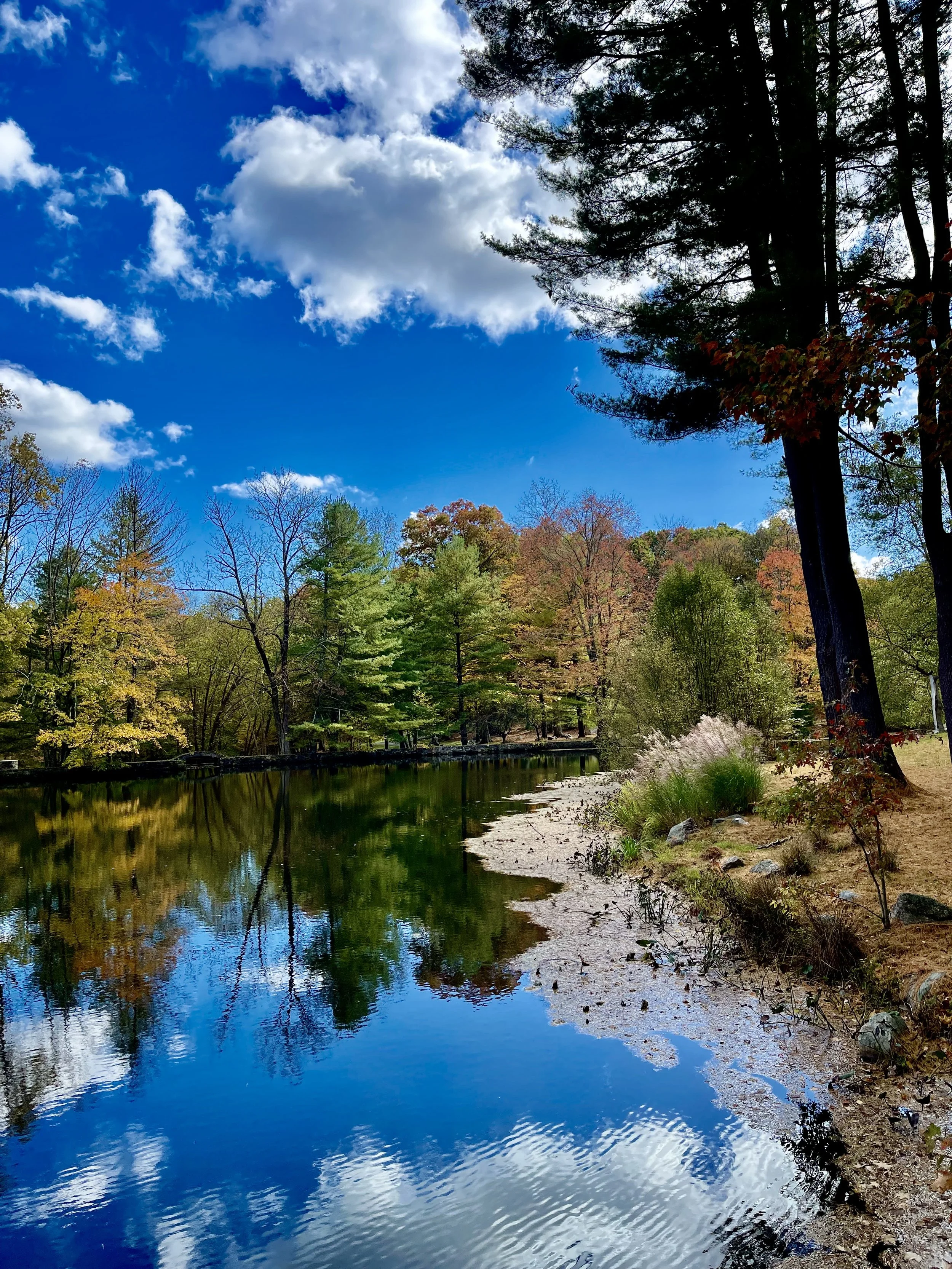 Tour and Plein Air Painting at Seven Bridges Foundation