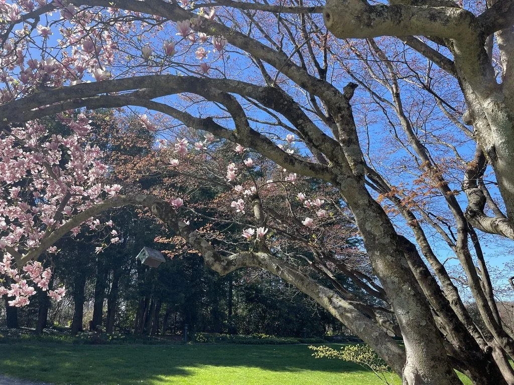 Plein Air Painting in Katonah at Lasdon Park