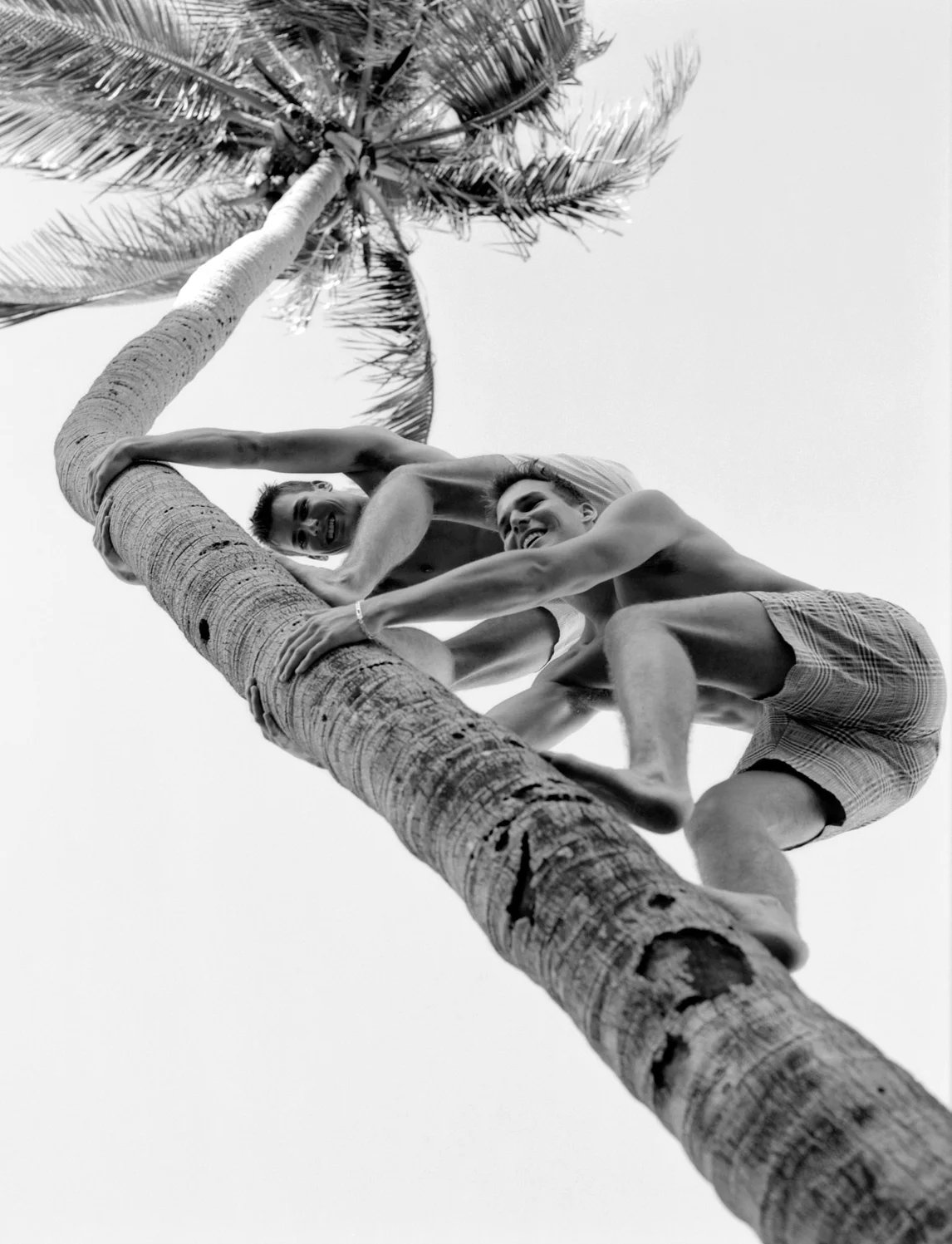 Lynda-Churilla-Twins_Palmtree_13-9.jpg
