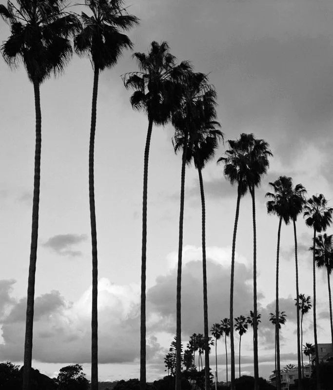 LYNDA-CHURILLA--7.jpg