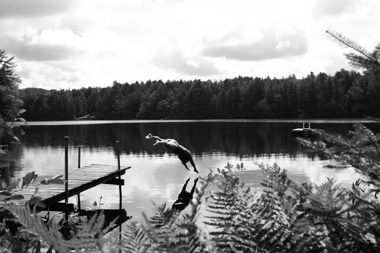 Lynda-Churilla-ADIRONDACKS_287.jpg