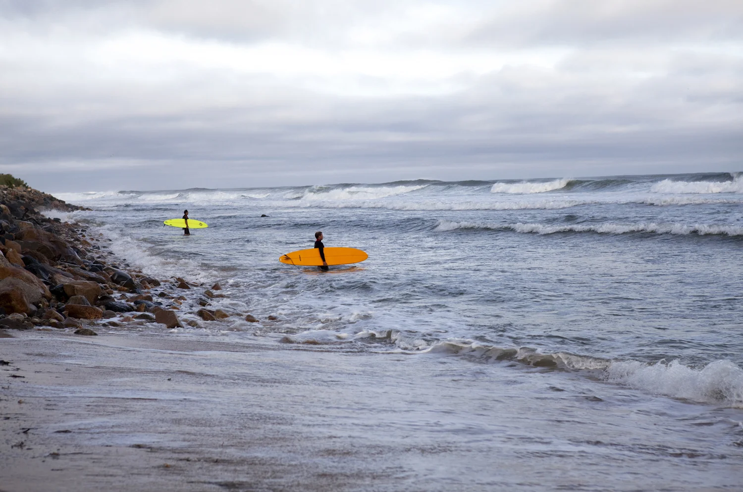 Citrus Surfer Photo: Lynda Churilla
