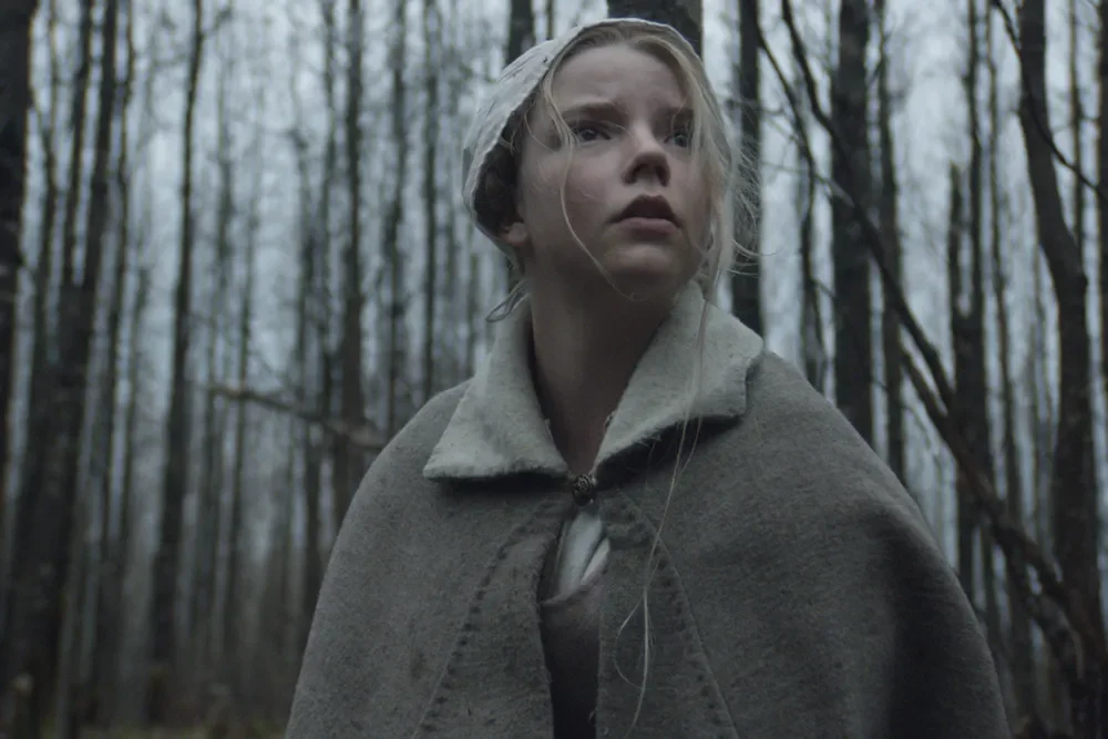 From Witch Hunts to Hollywood: The Horrifying History of Witches