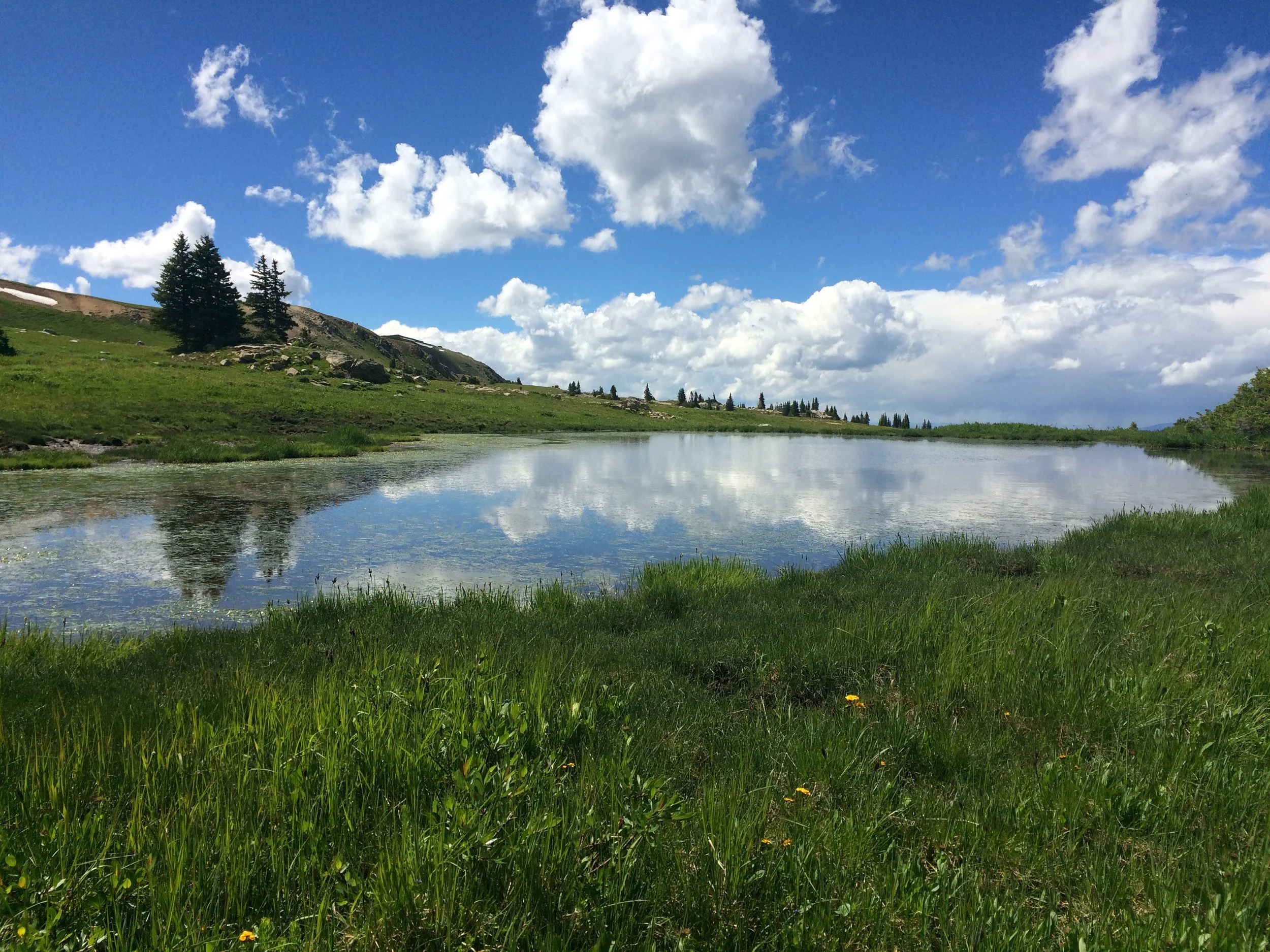 Schimer tarn KT.jpeg