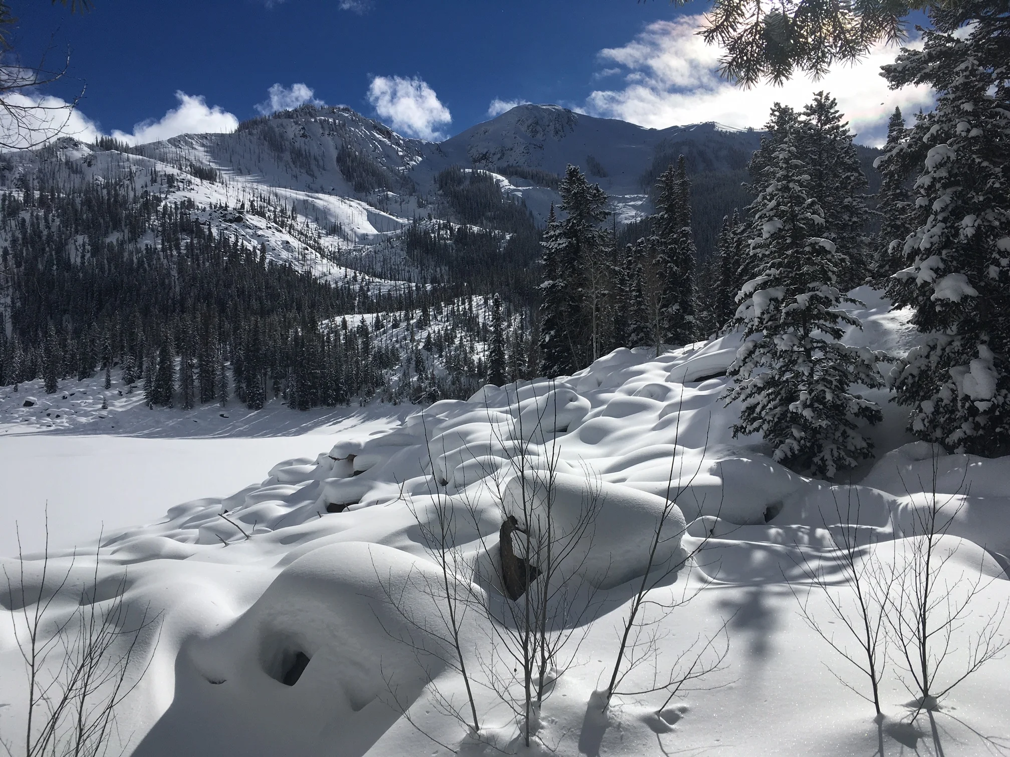 January