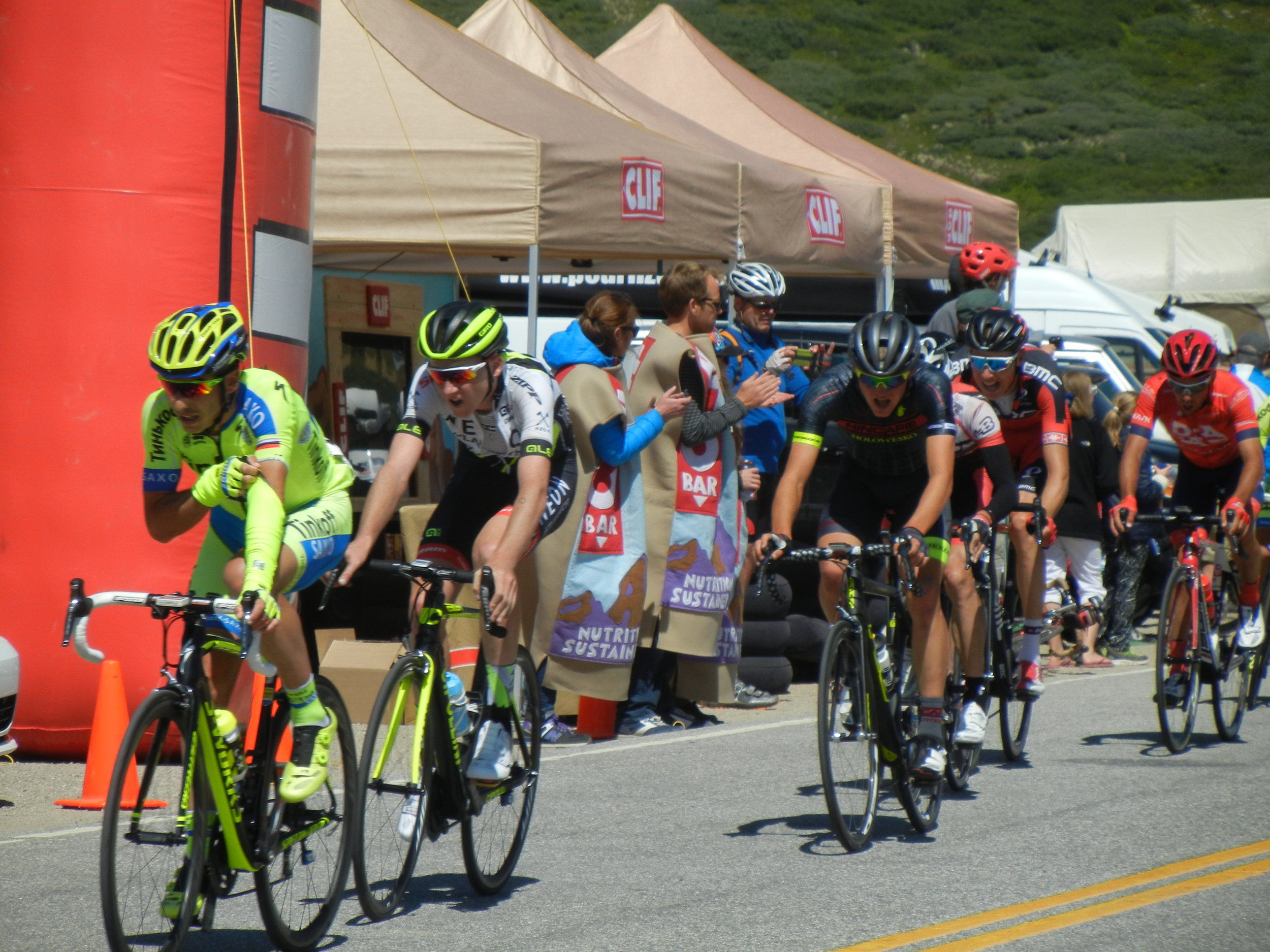 The 2015 Pro Cycling Tour