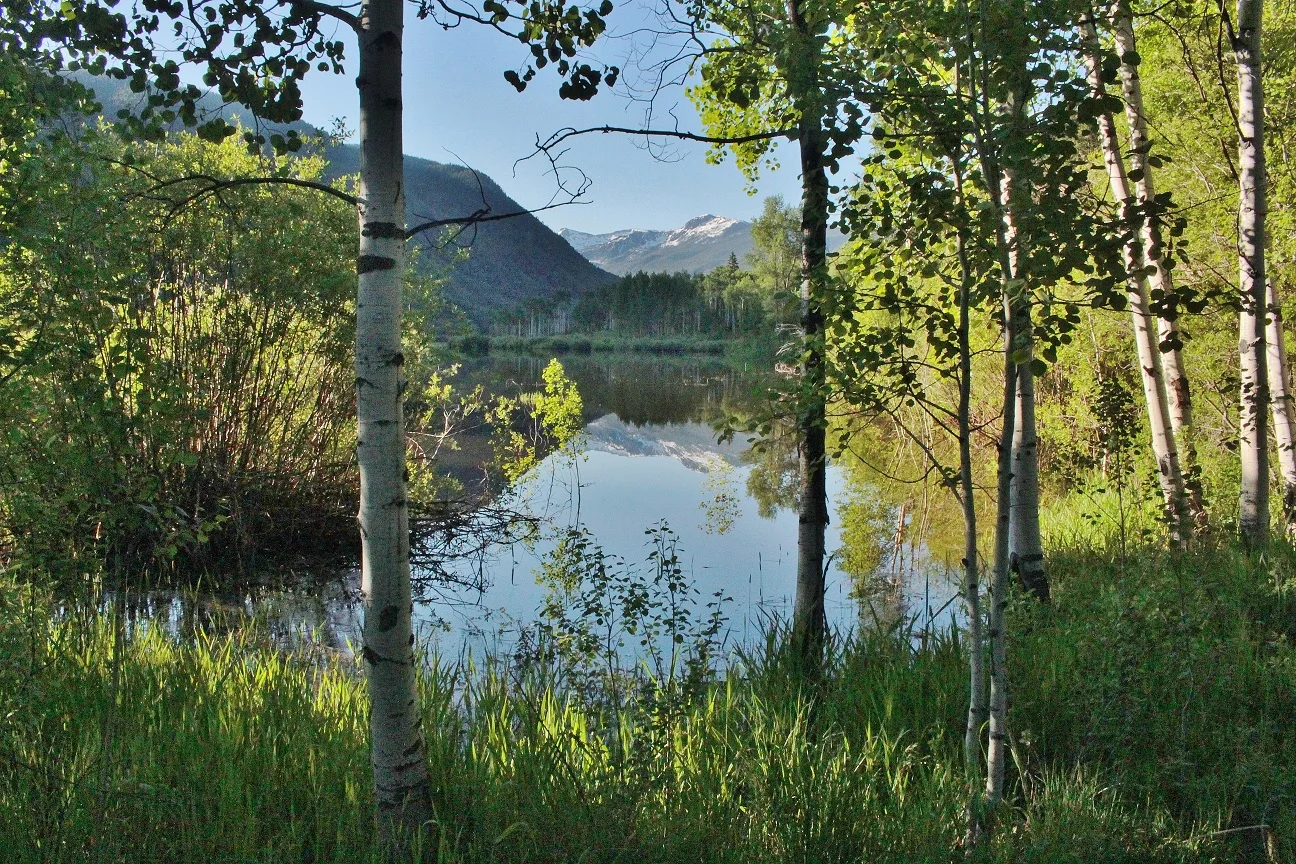 North Star in flood