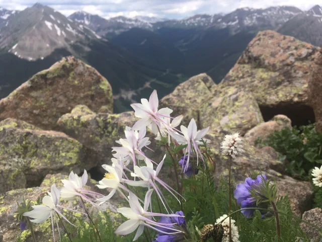 Image 1 alernative 2.JPG