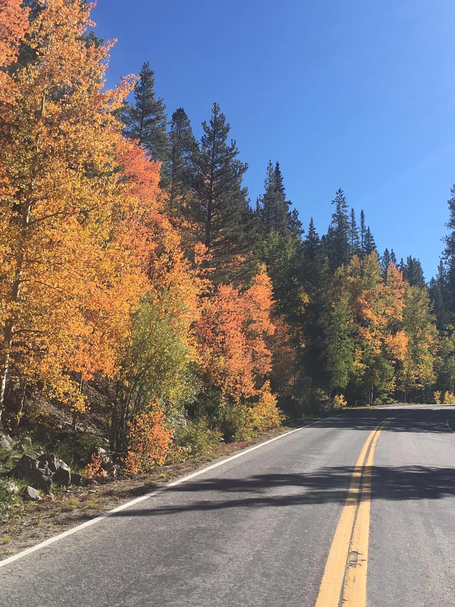 9.19.17 road & orange.JPG