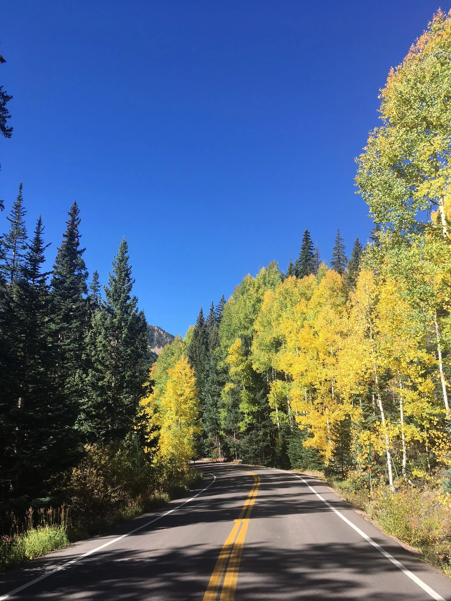 9.19.17 road & yellow.JPG