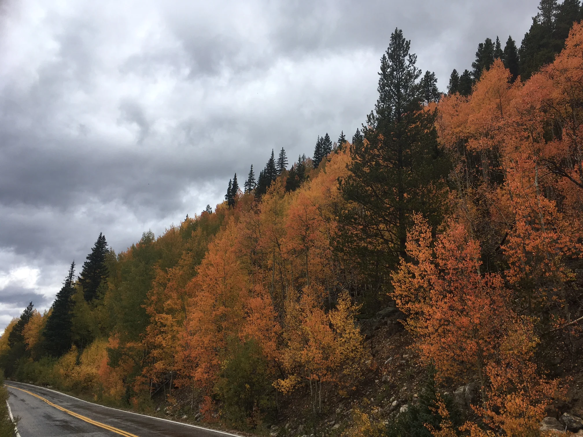 9.22.17 road & orange.JPG