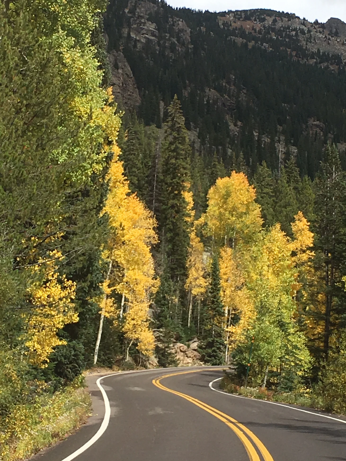 9.22.17 road & yellow.jpg