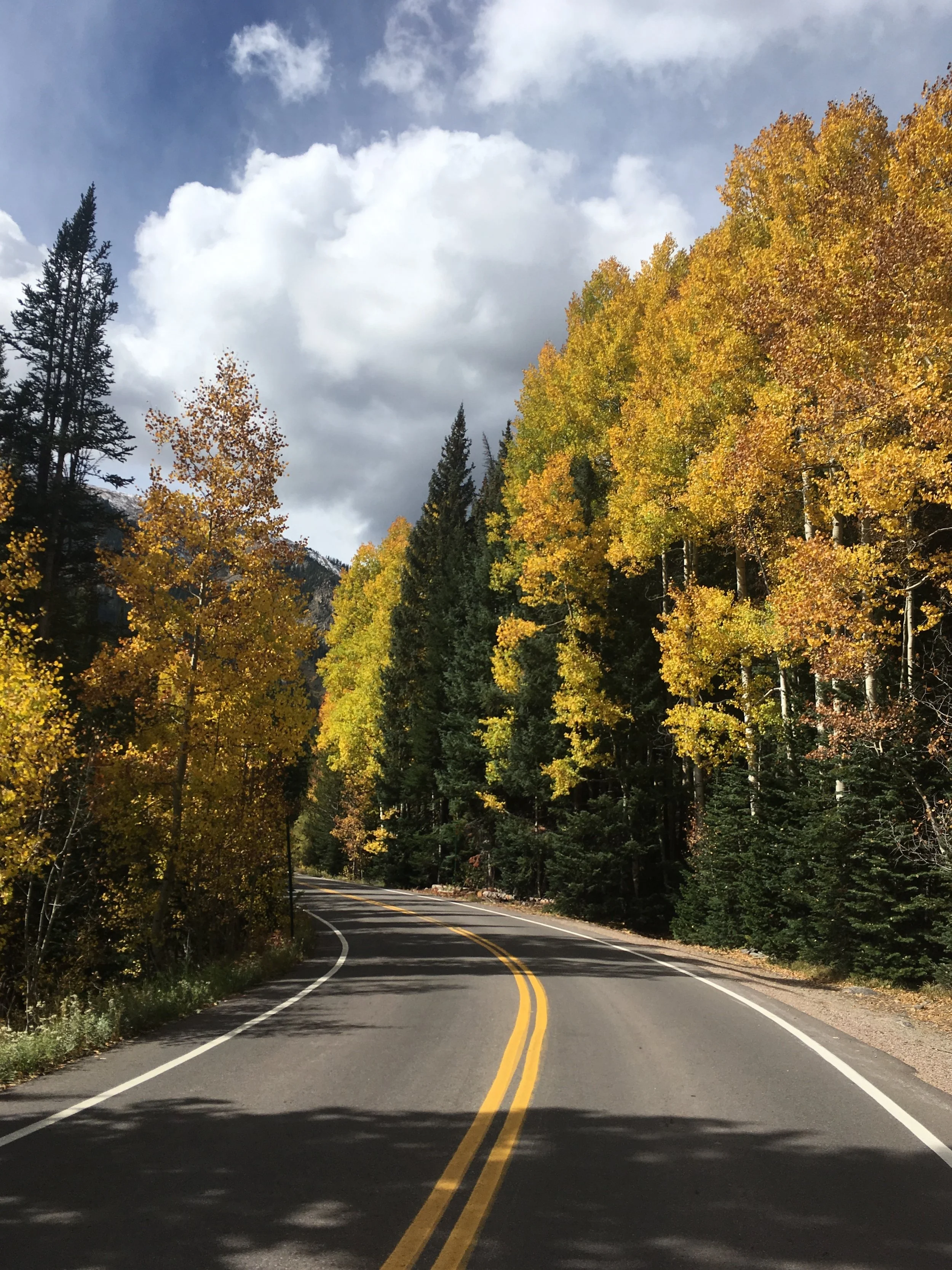 9.25.17 road yellow etc..jpg