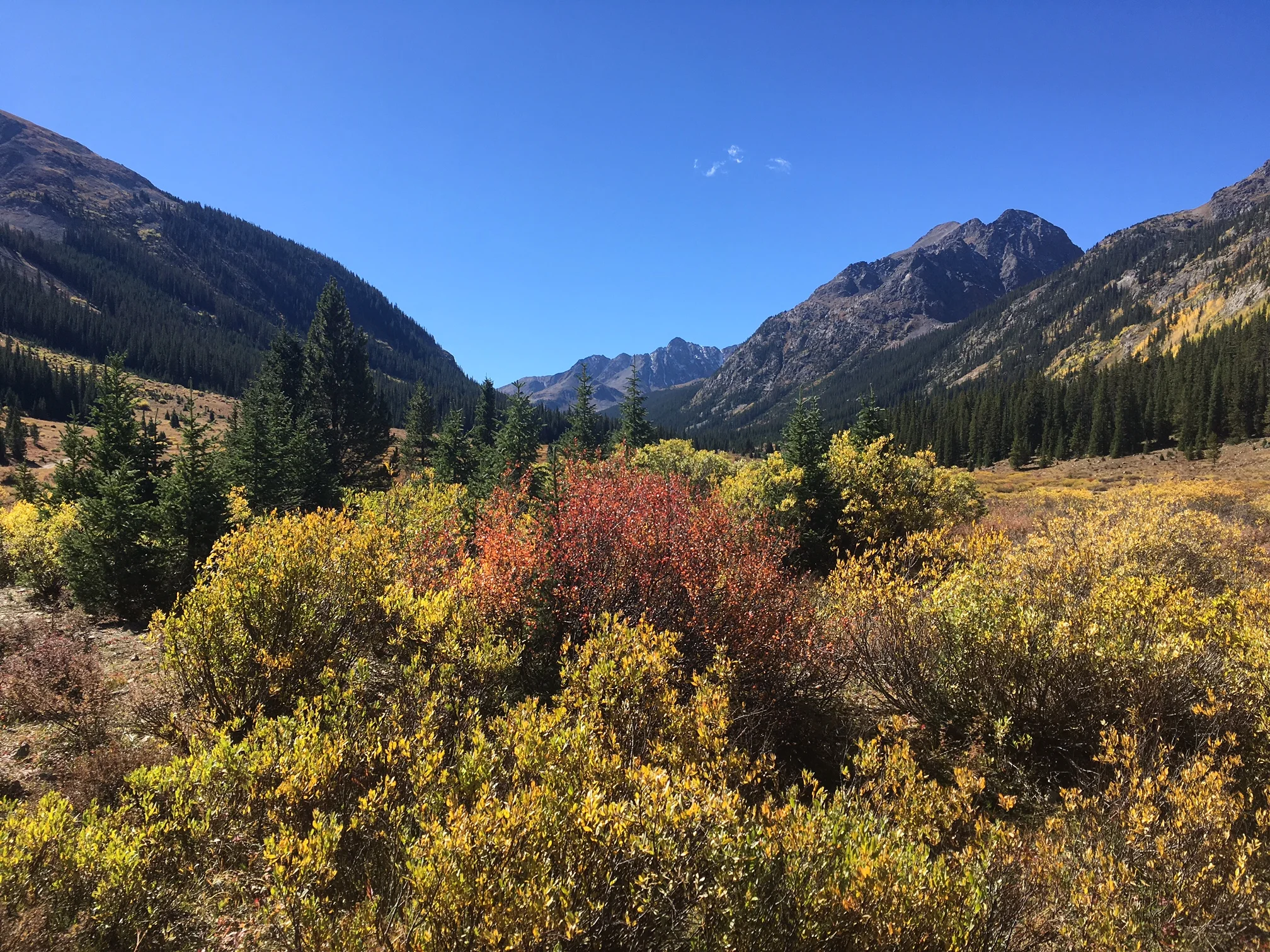 Lincoln Creek valley from Grizzly.JPG