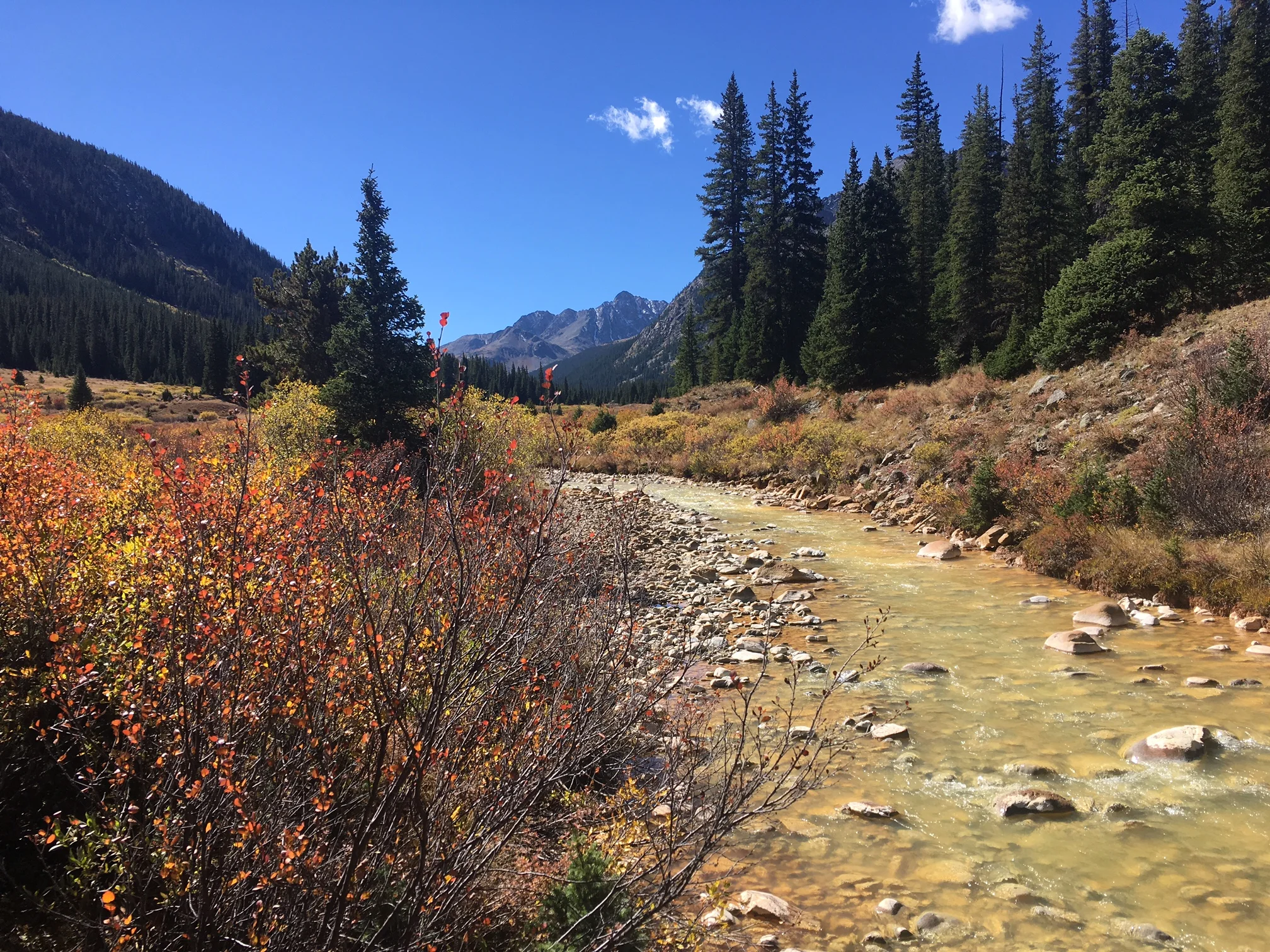 Upper Lincoln Creek.JPG