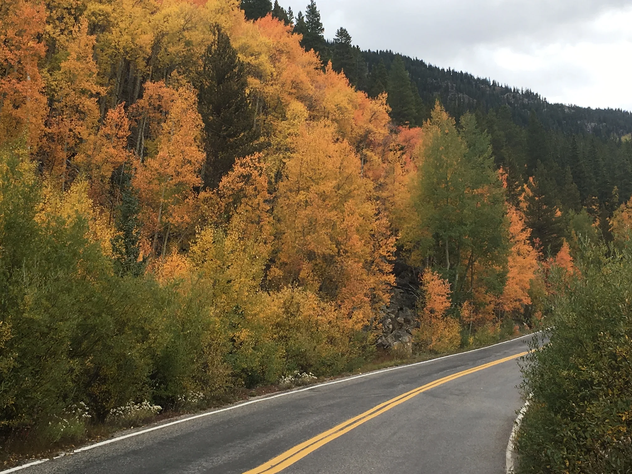 fall colors.JPG