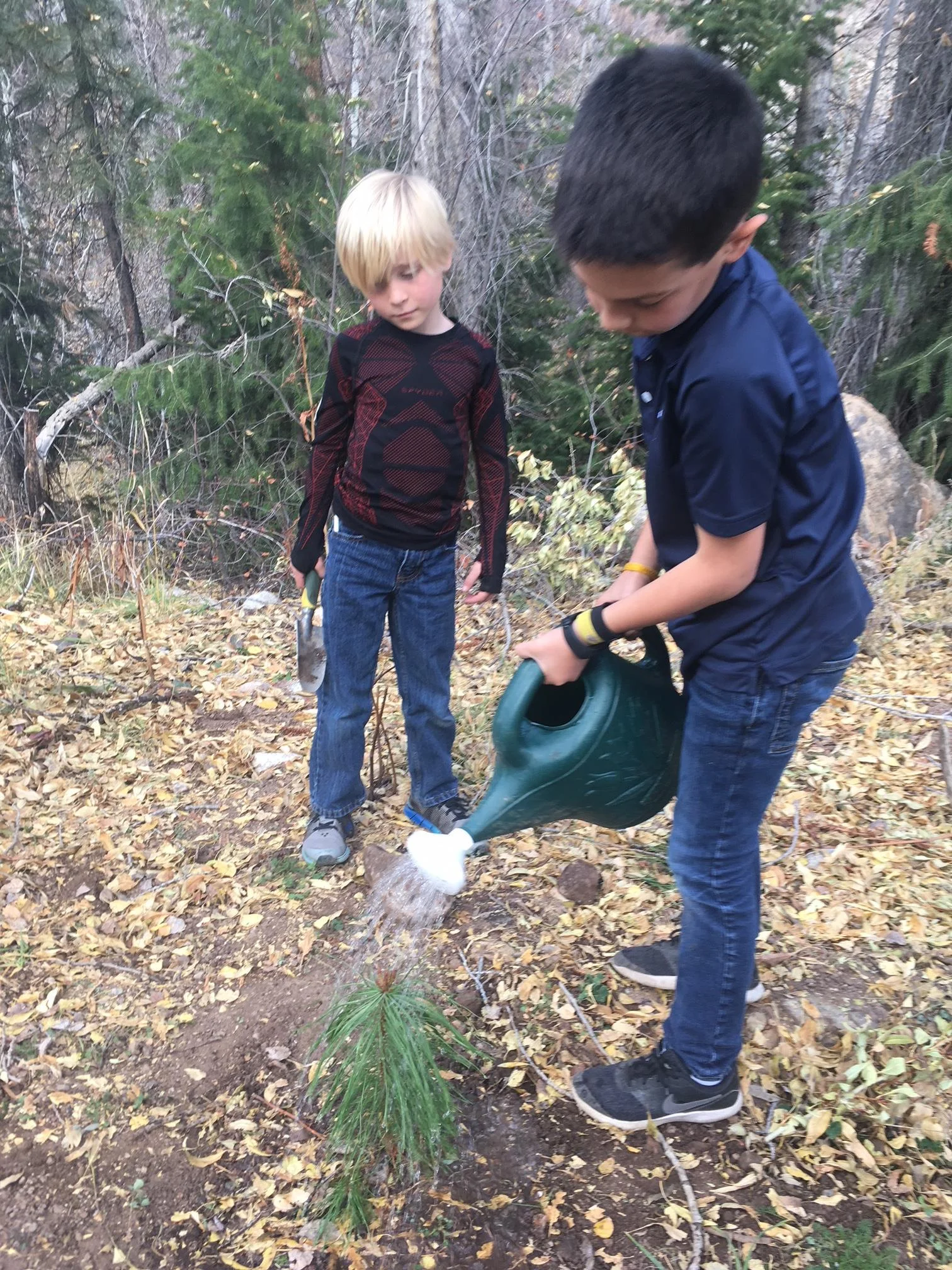 Aspen Country Day third graders watering their newly-planted tree