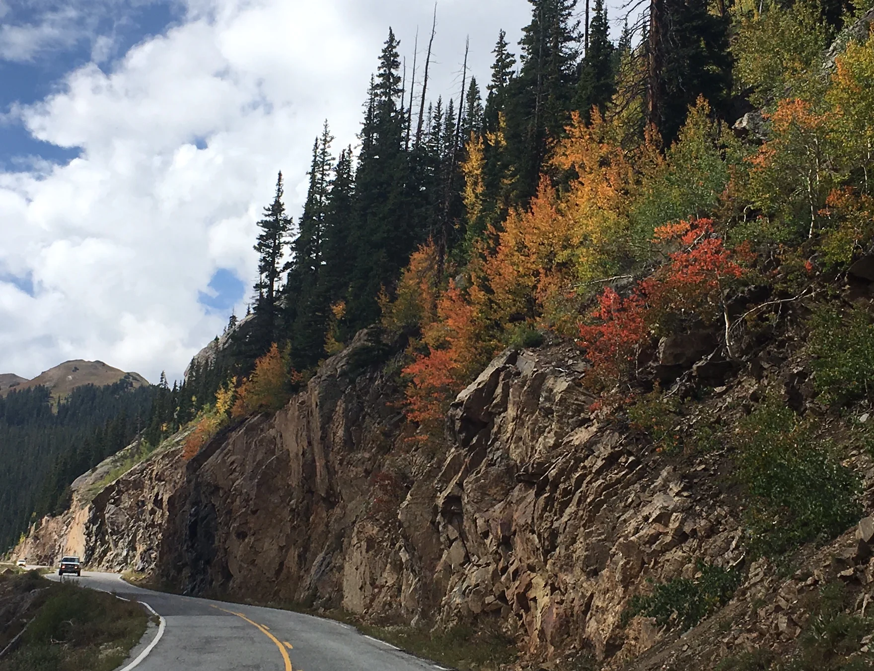 September 9.11.17 roadside colors.jpg