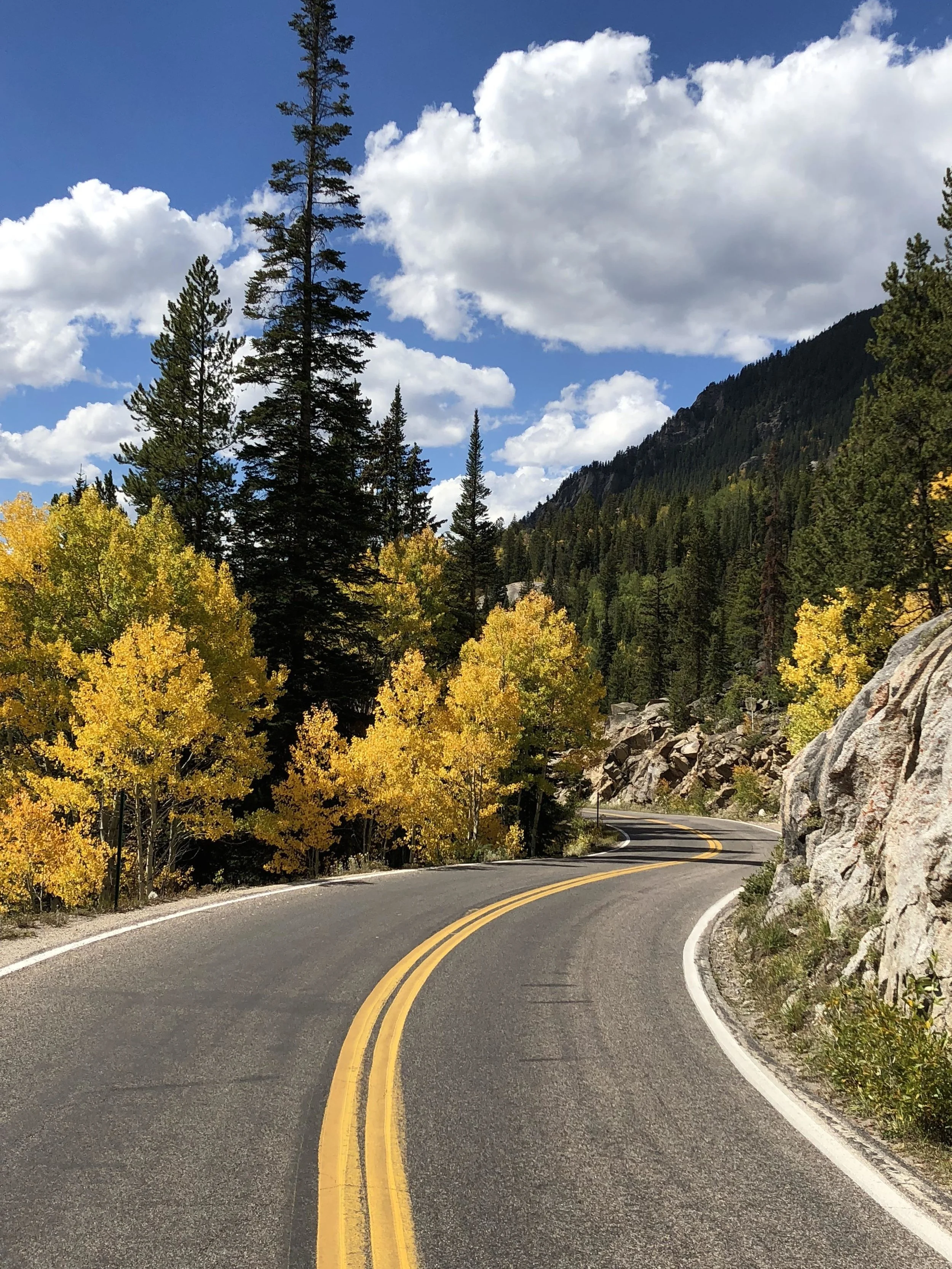 IMG_3115.jpg