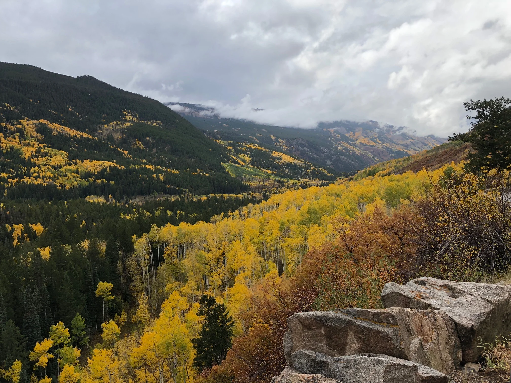 View from Weller Curve.jpg