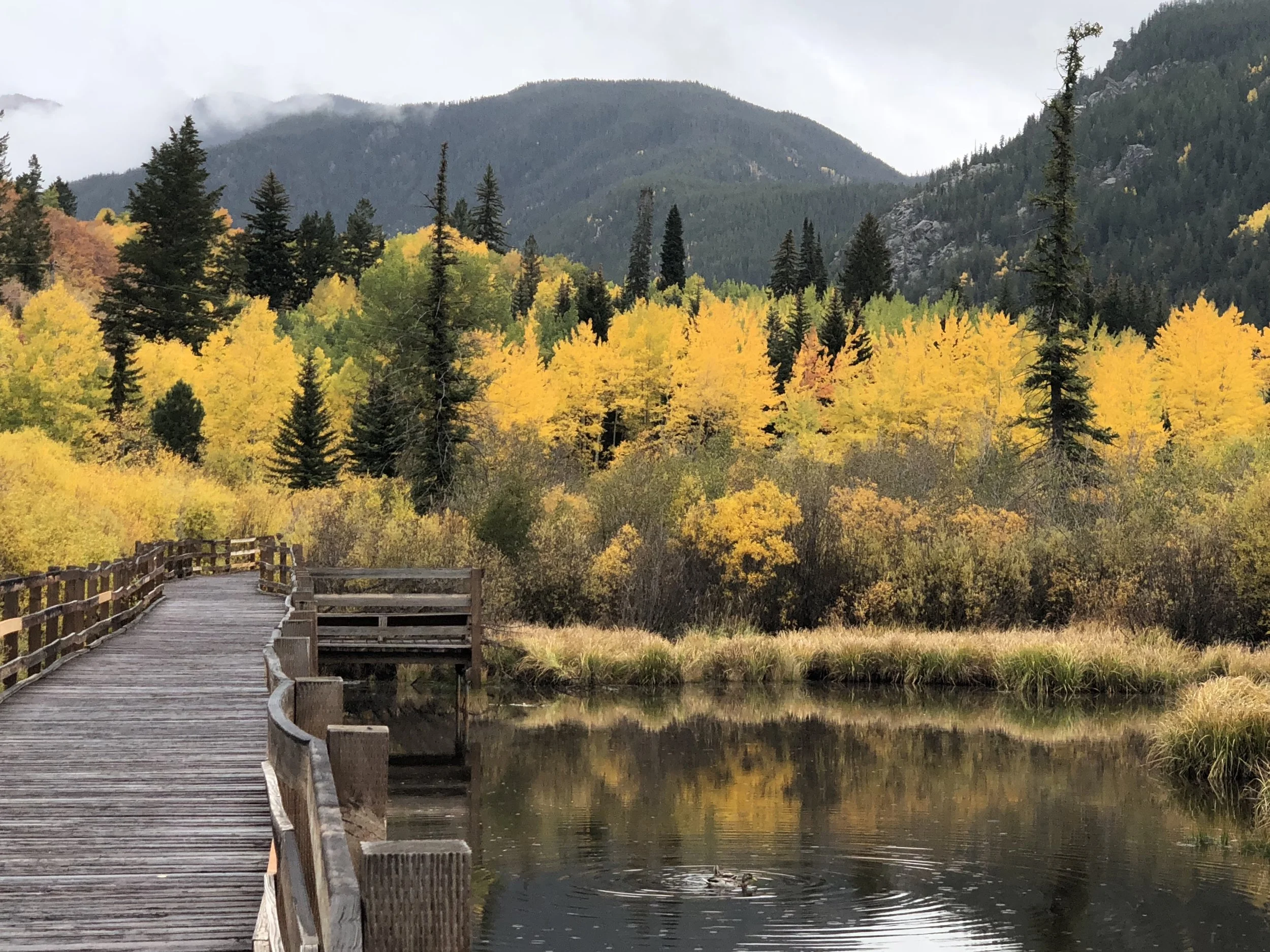 Northstar river & bridge.jpg