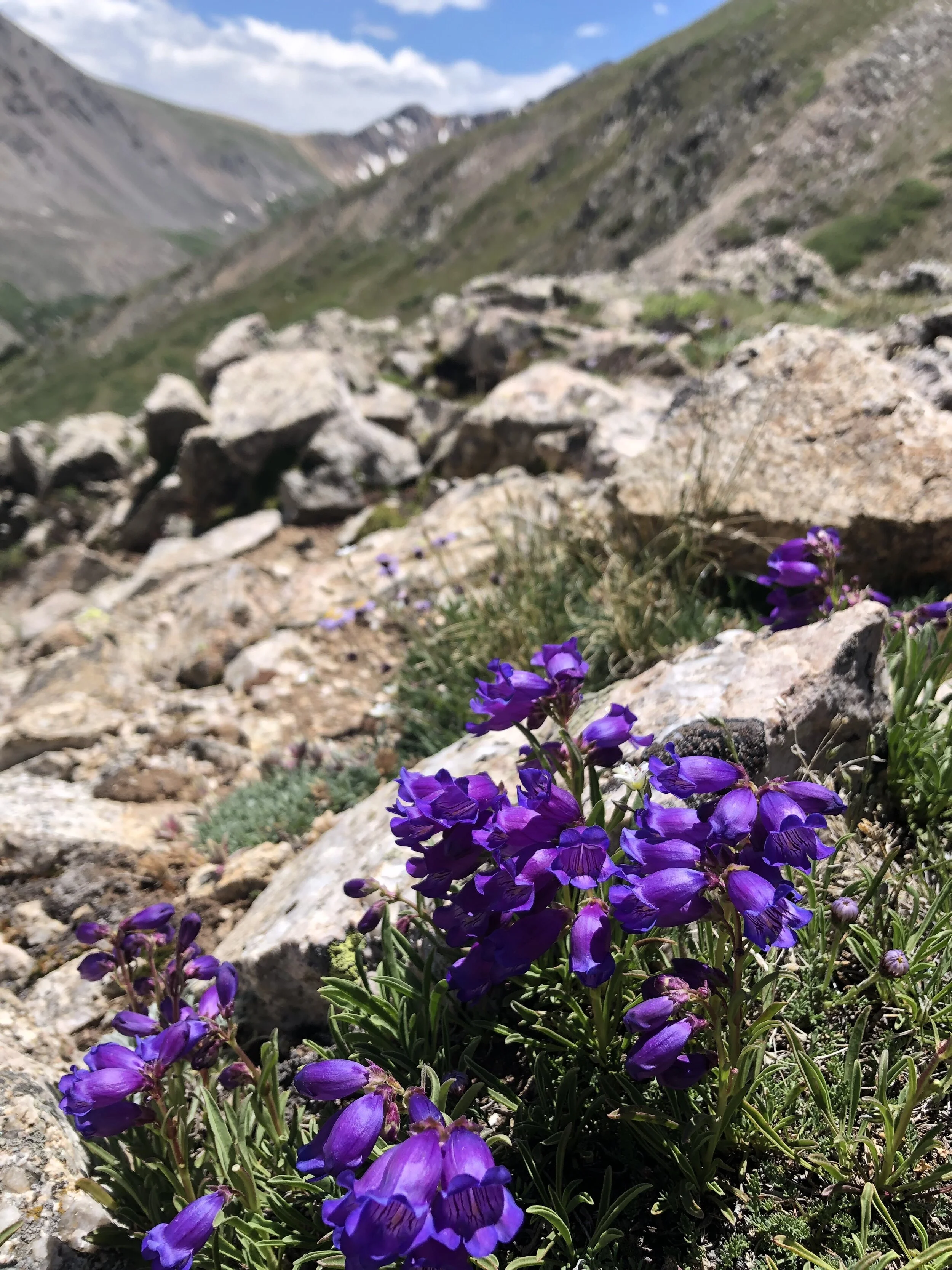 A Colorado native who never left