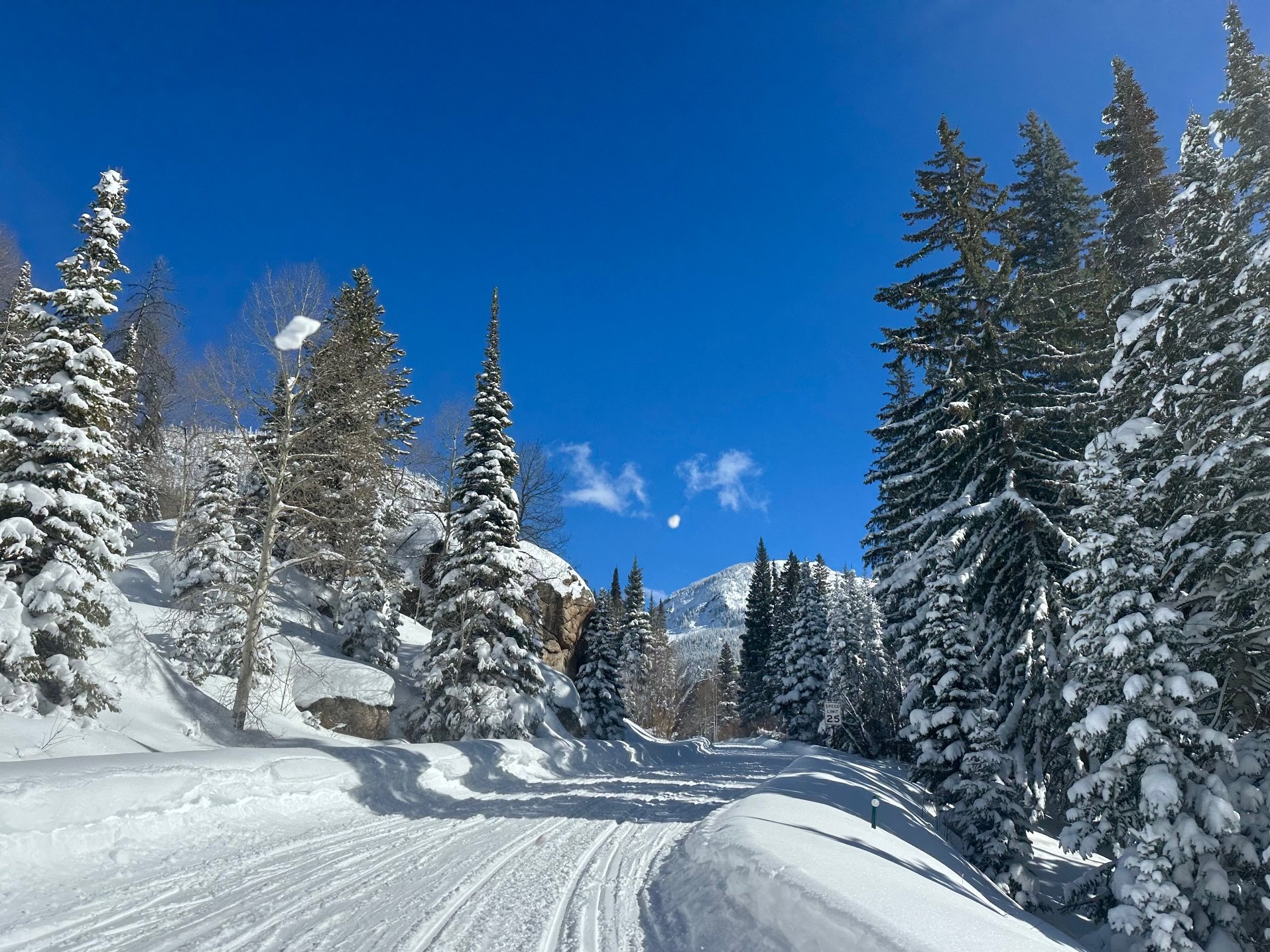   Independence Pass is closed to cars for the season  