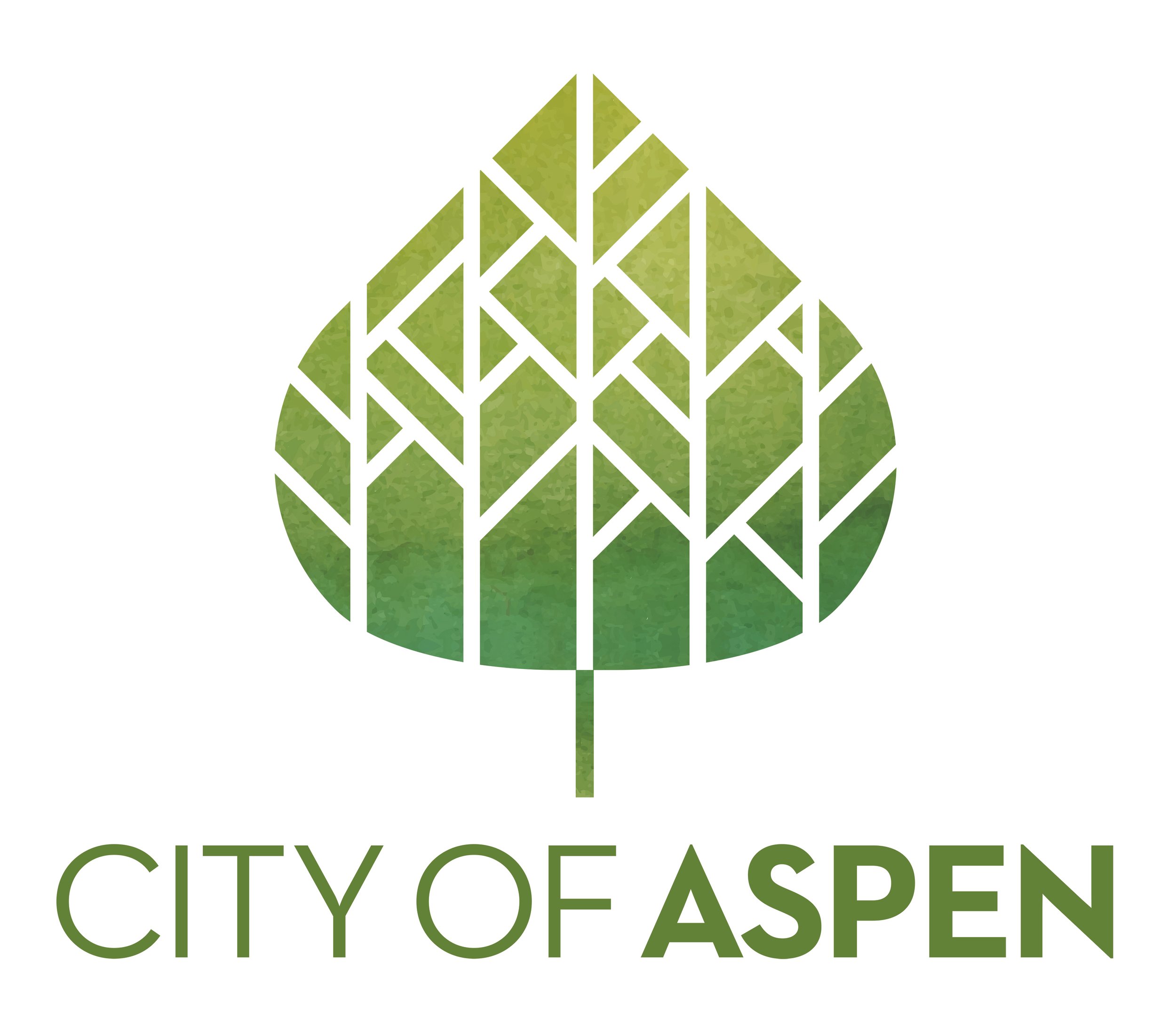 City of Aspen $250.jpg