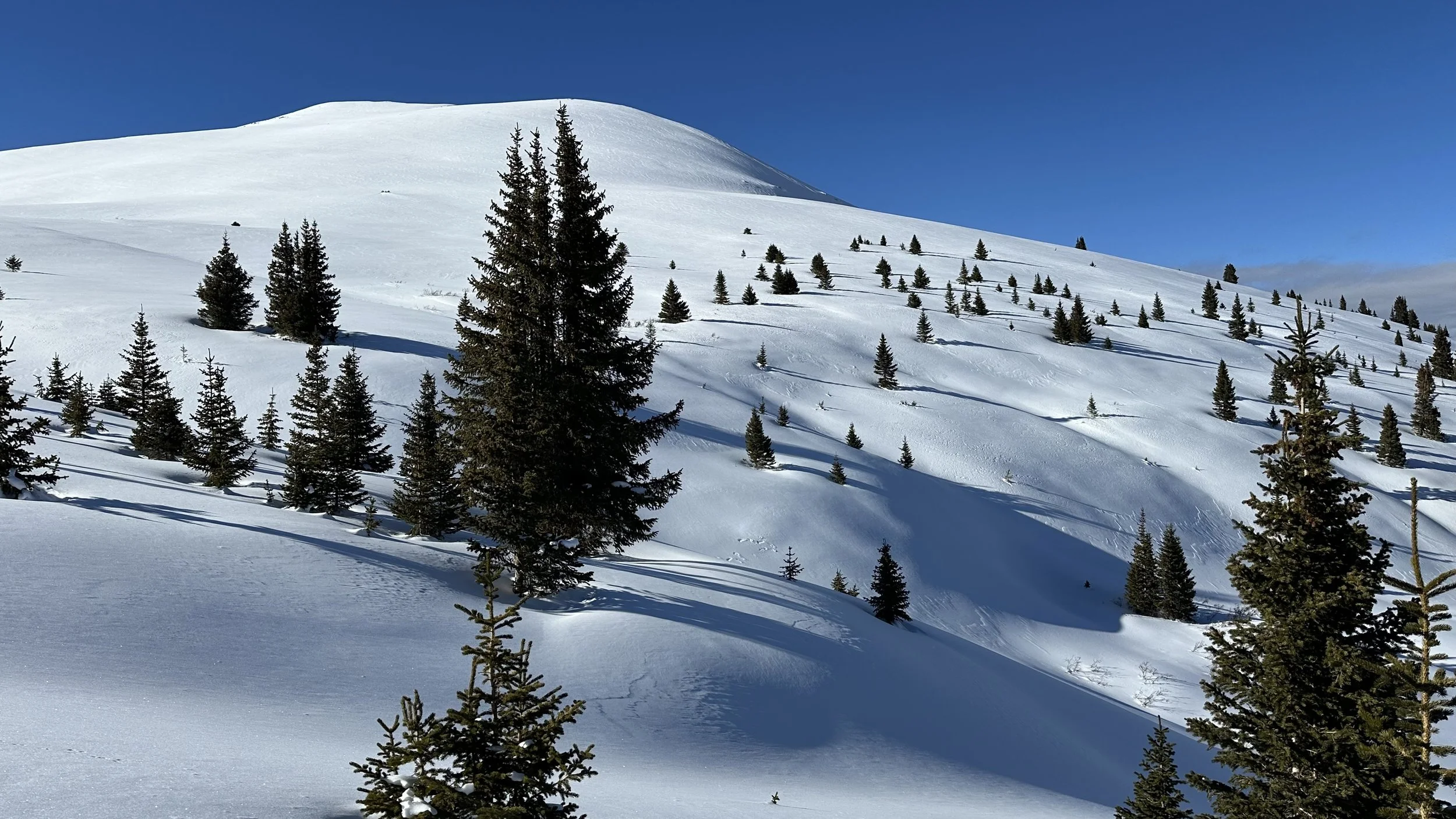 January: Green Mountain