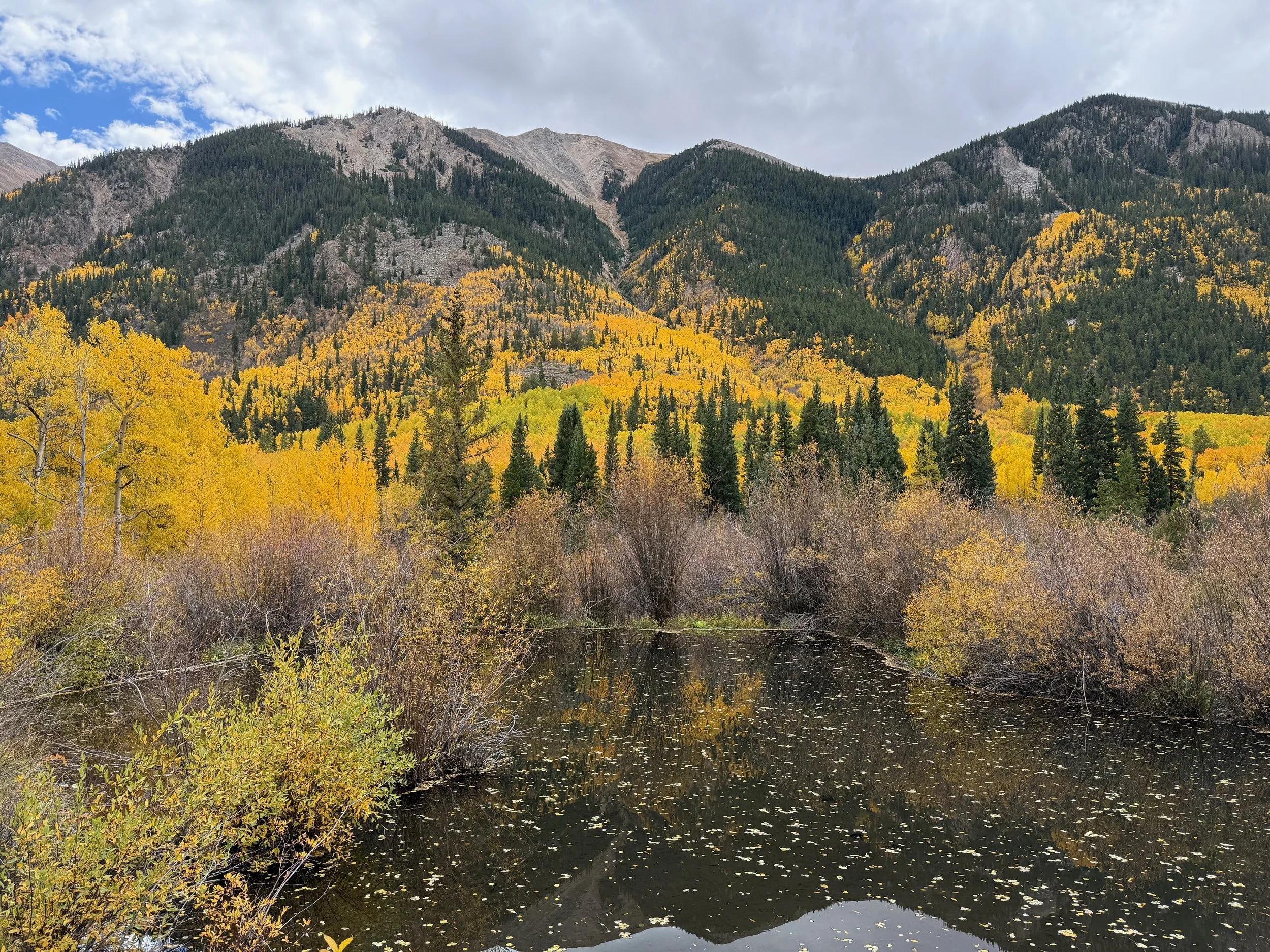 September: fall foliage on east side