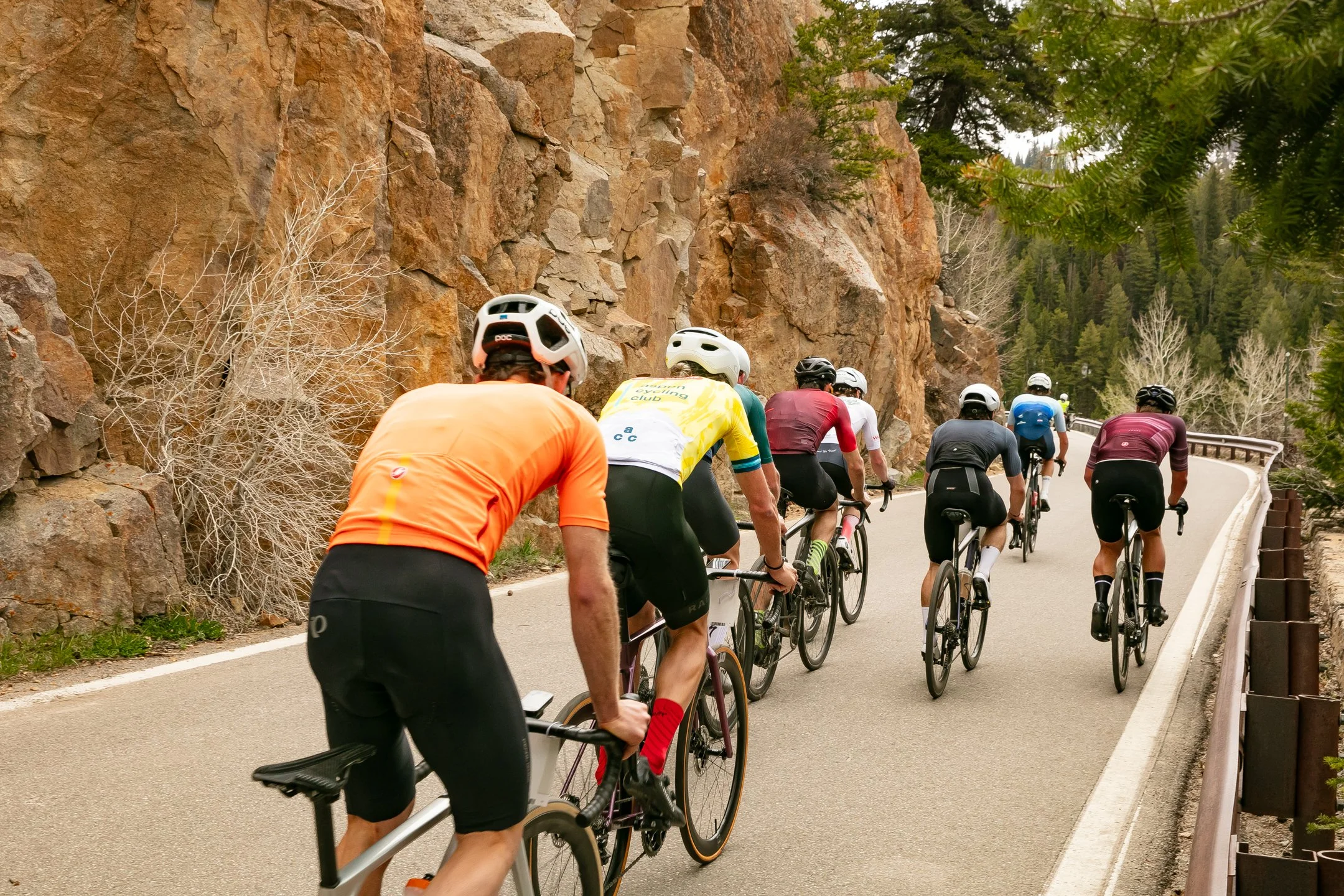 lead pack from behind.jpg