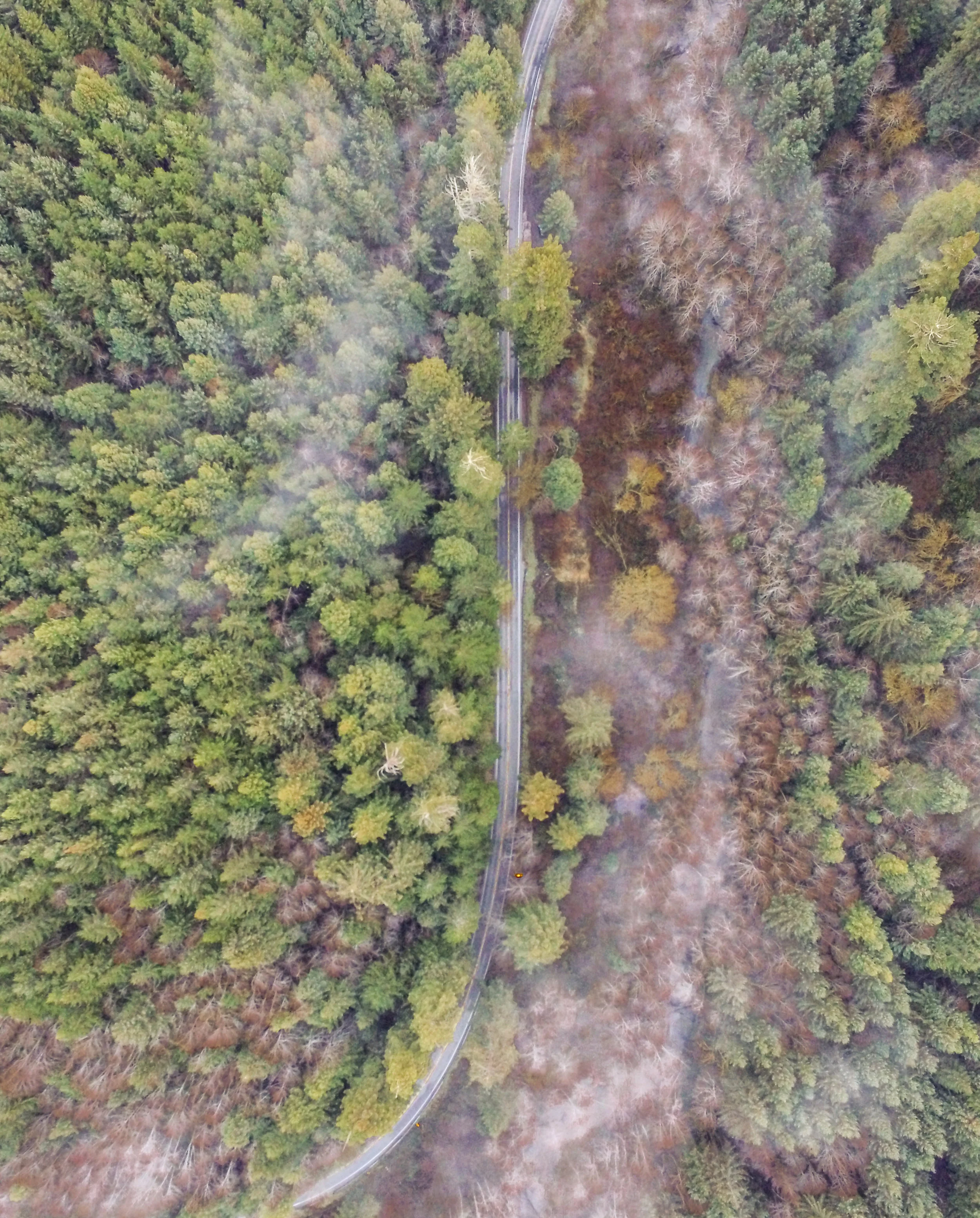 20170129-DJI_0079.jpg