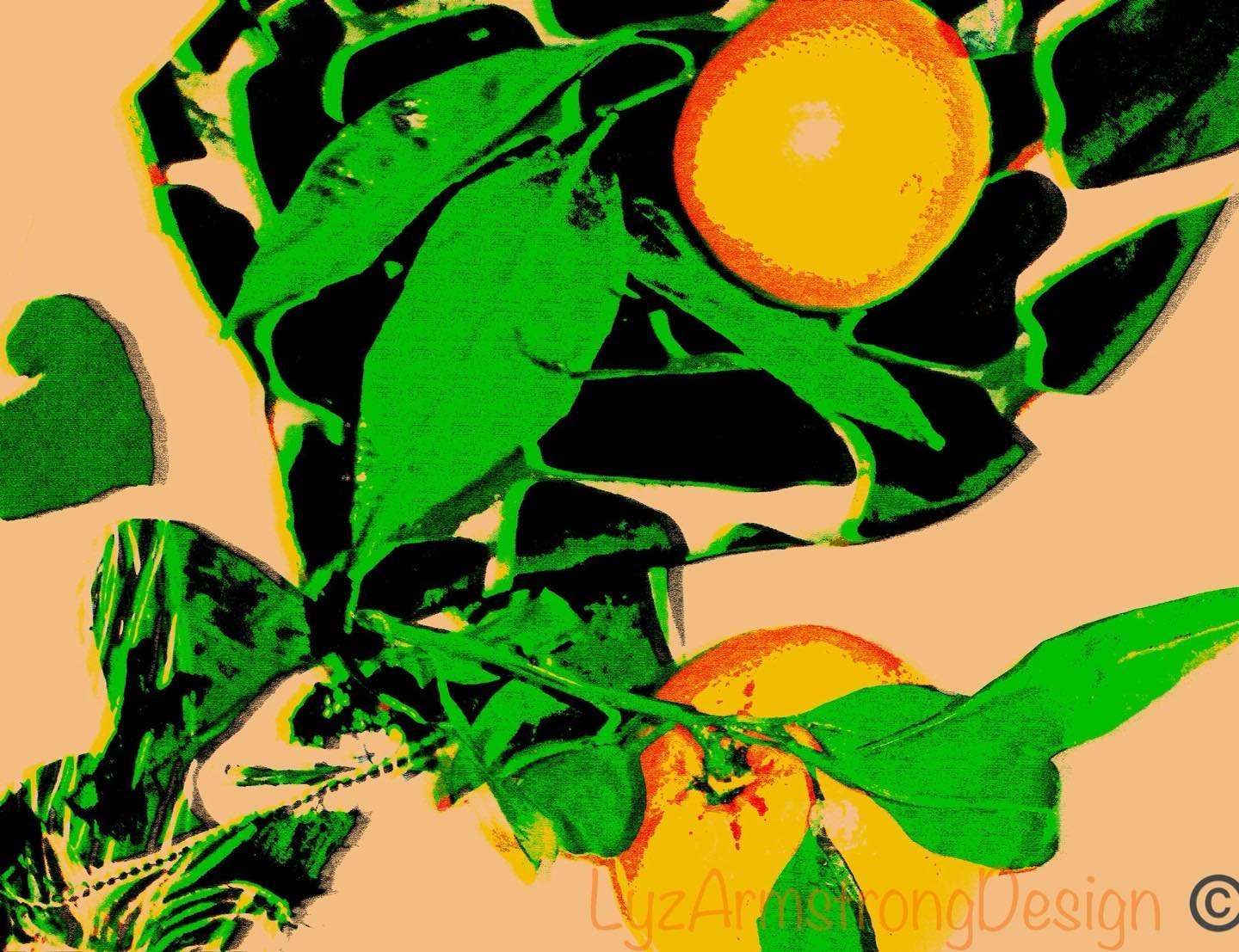 Fruit Follies , premiering new still life collection 
#peachfuzz 
#stilllifeprints 
#sanfranciscoartist 
#orangestilllife 
#photographicstilllife 
#hospitalitydesign 
#diningd&eacute;cor 
#restaurantdecor