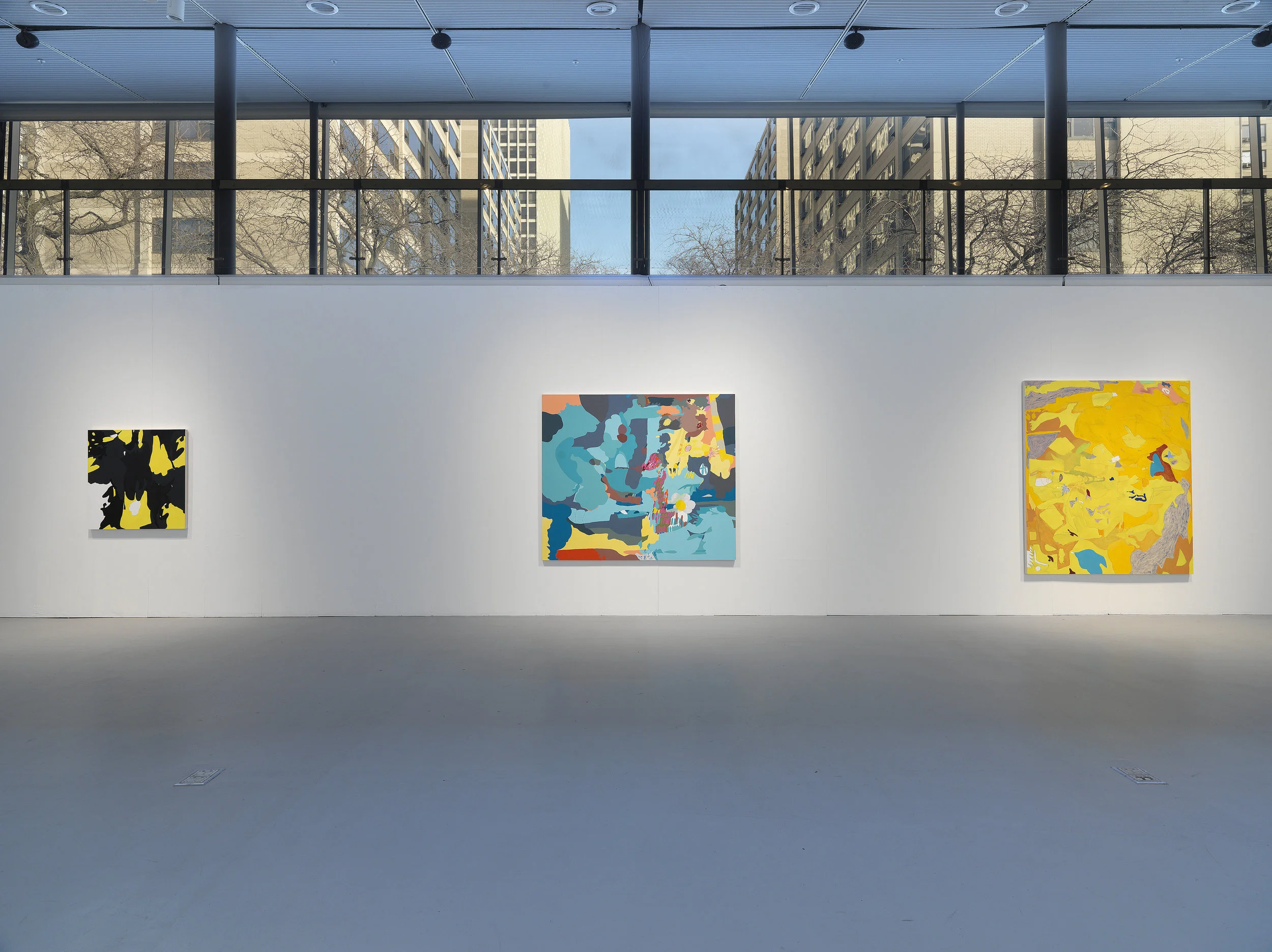 Installation view at Hyde Park Art Center