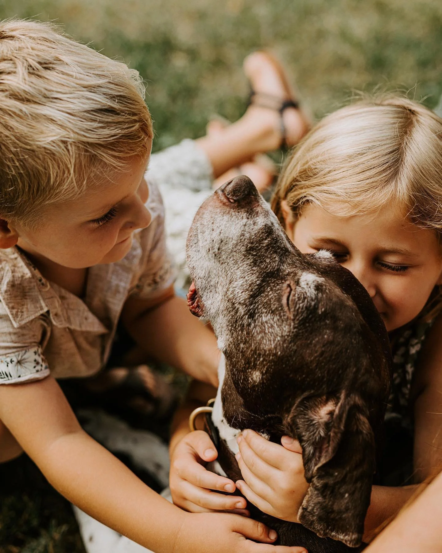 Posting twice in one day is bonkers for me. IG might kick me off for getting too crazy. 🤪 Haha. Anyway! Thought a puppy snuggle pic in your feed might brighten your post-Labor Day weekend blues. Xo. ︎

#alwaysbeephotography #milwaukeephotographer #m