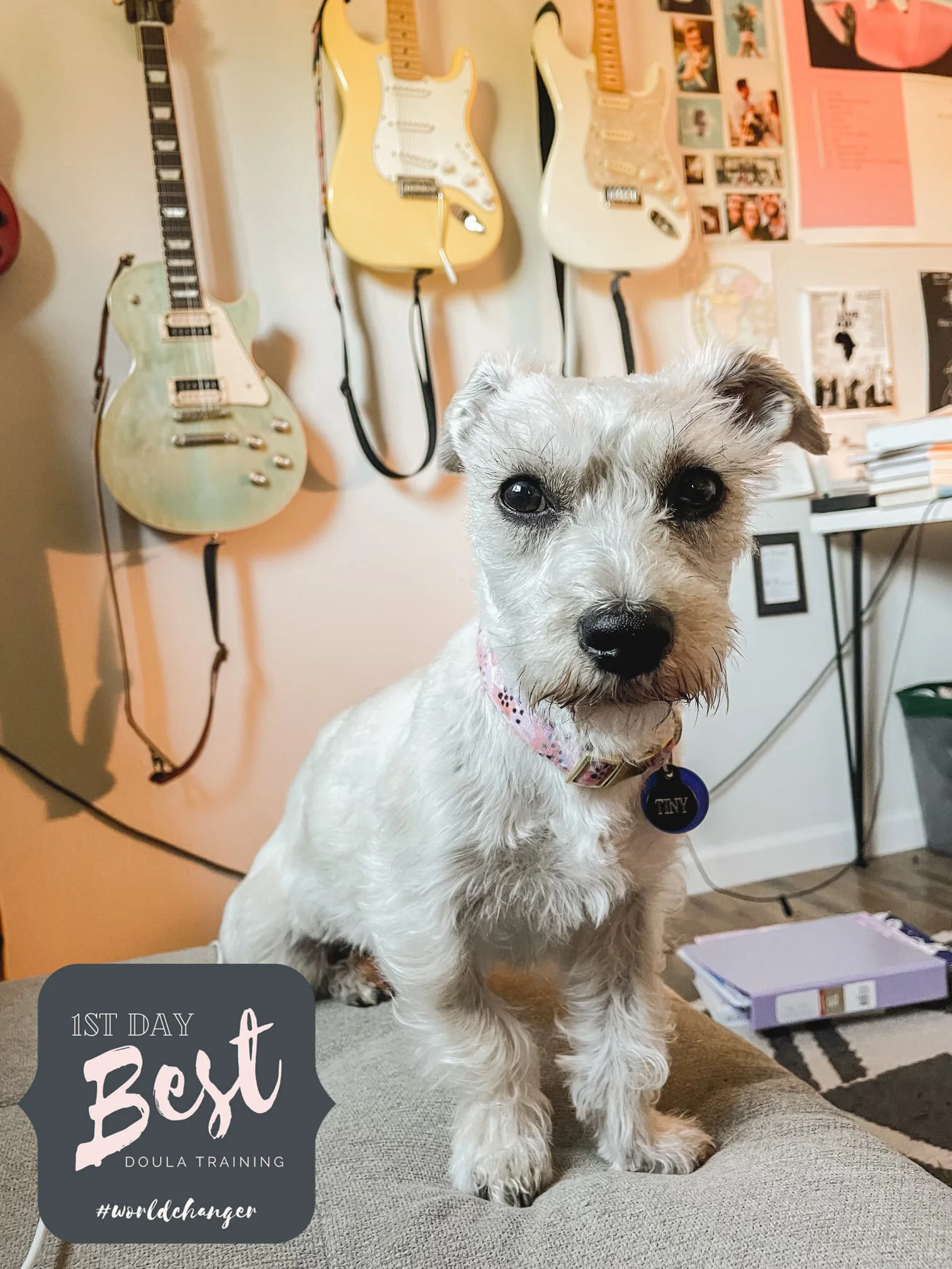 165709767_1404318493250367_2346581800803363582_n.jpg
