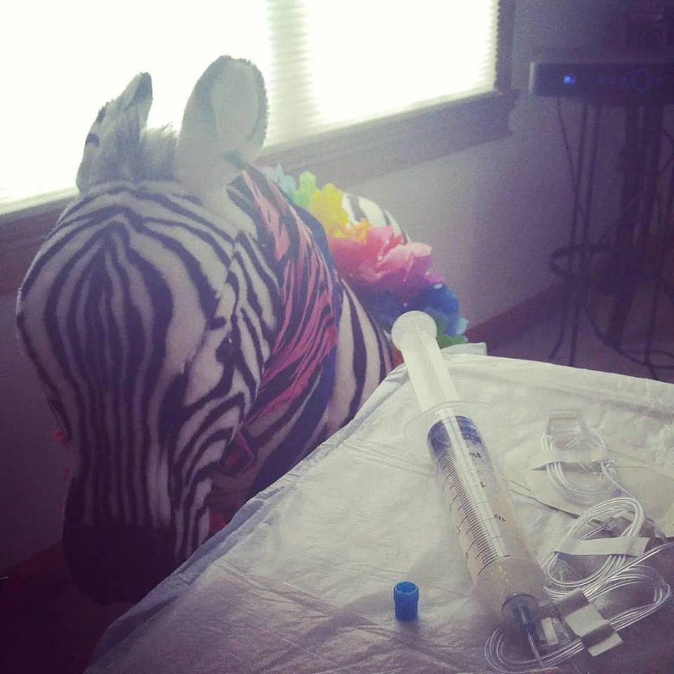 Trusted sidekick Zoiee