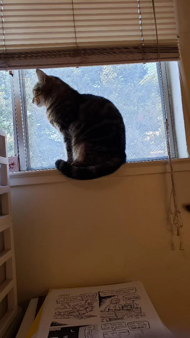 pickles in studio.jpg