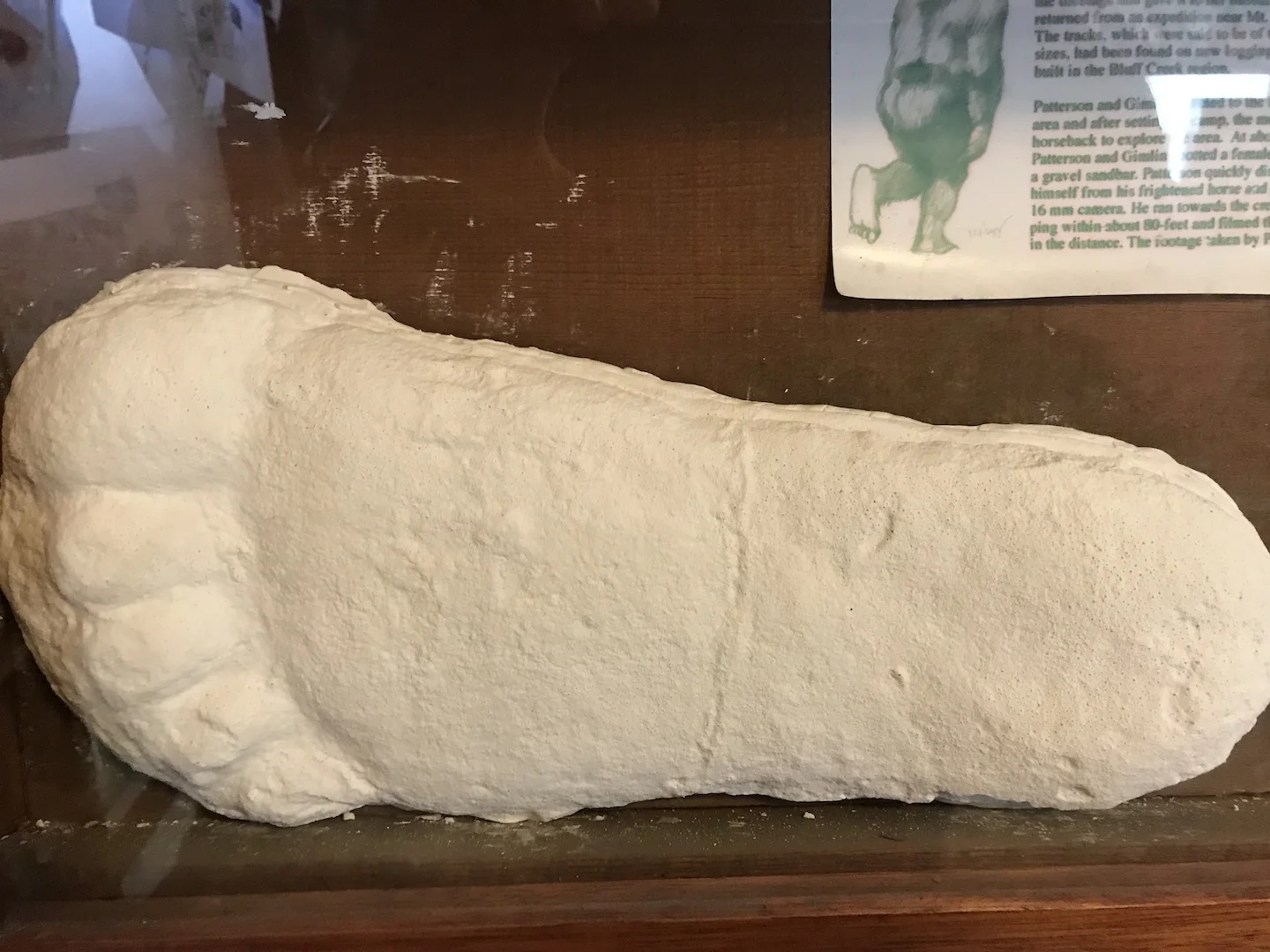 Much larger than a human foot. Real or fake?
