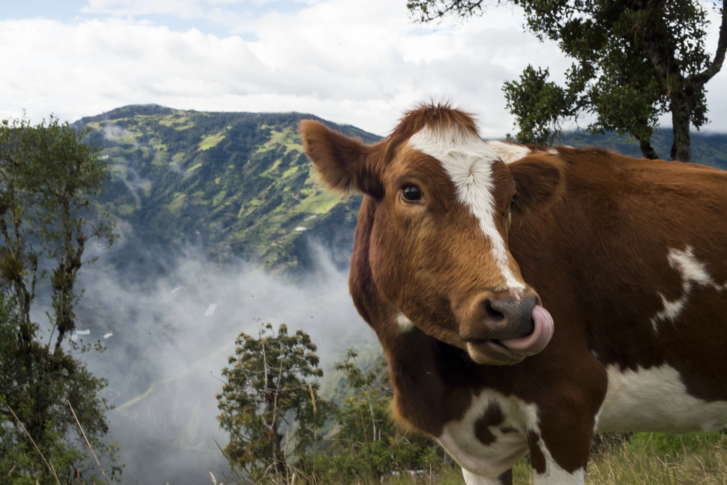  Baños, Ecuador. 