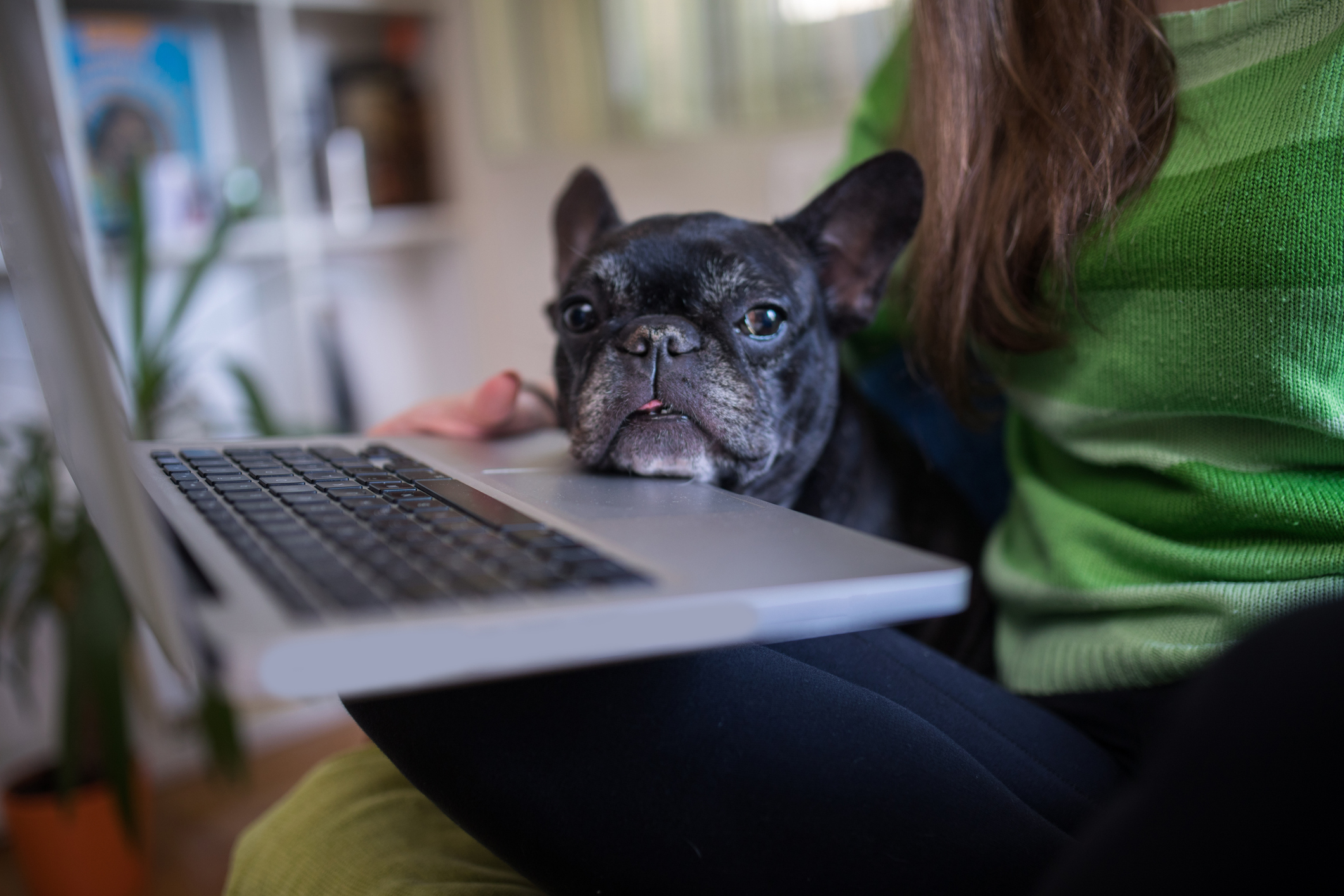 iStock-891214654.jpg