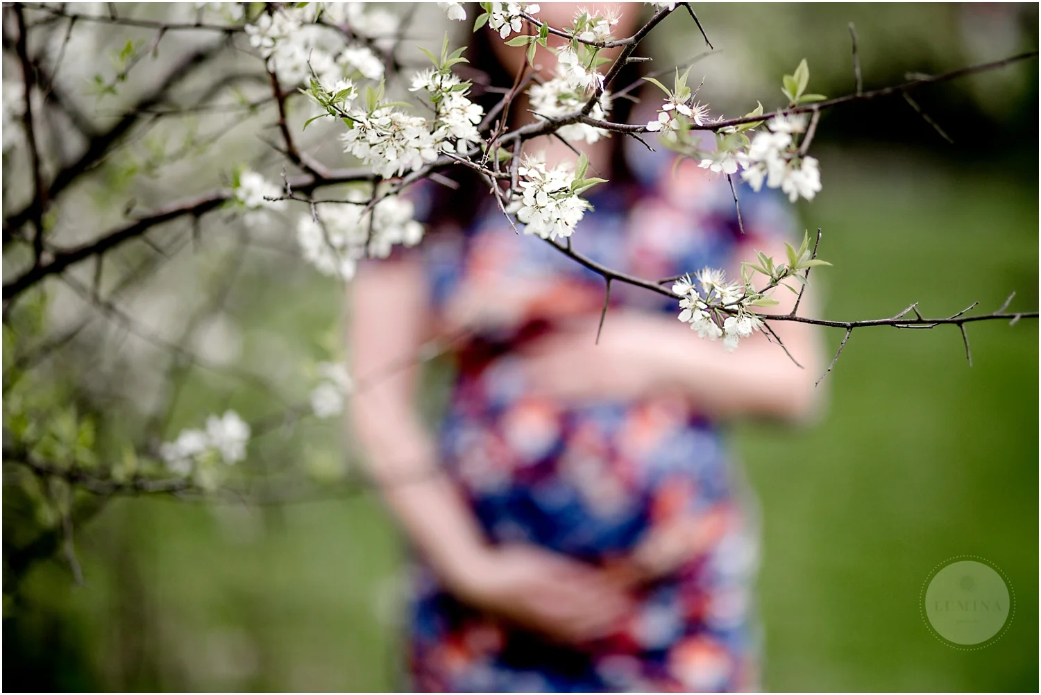 New Hampshire Maternity Portraits_008.jpg